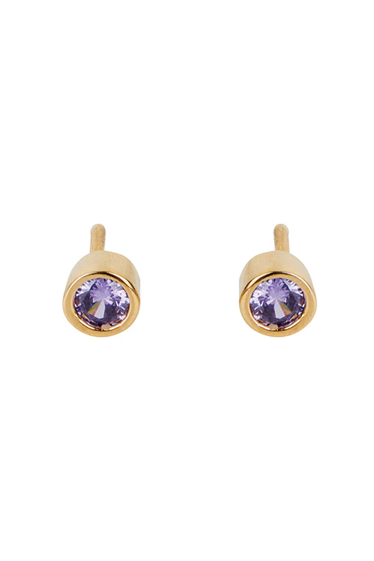 ARETE CON BROQUEL MORADO 88854
