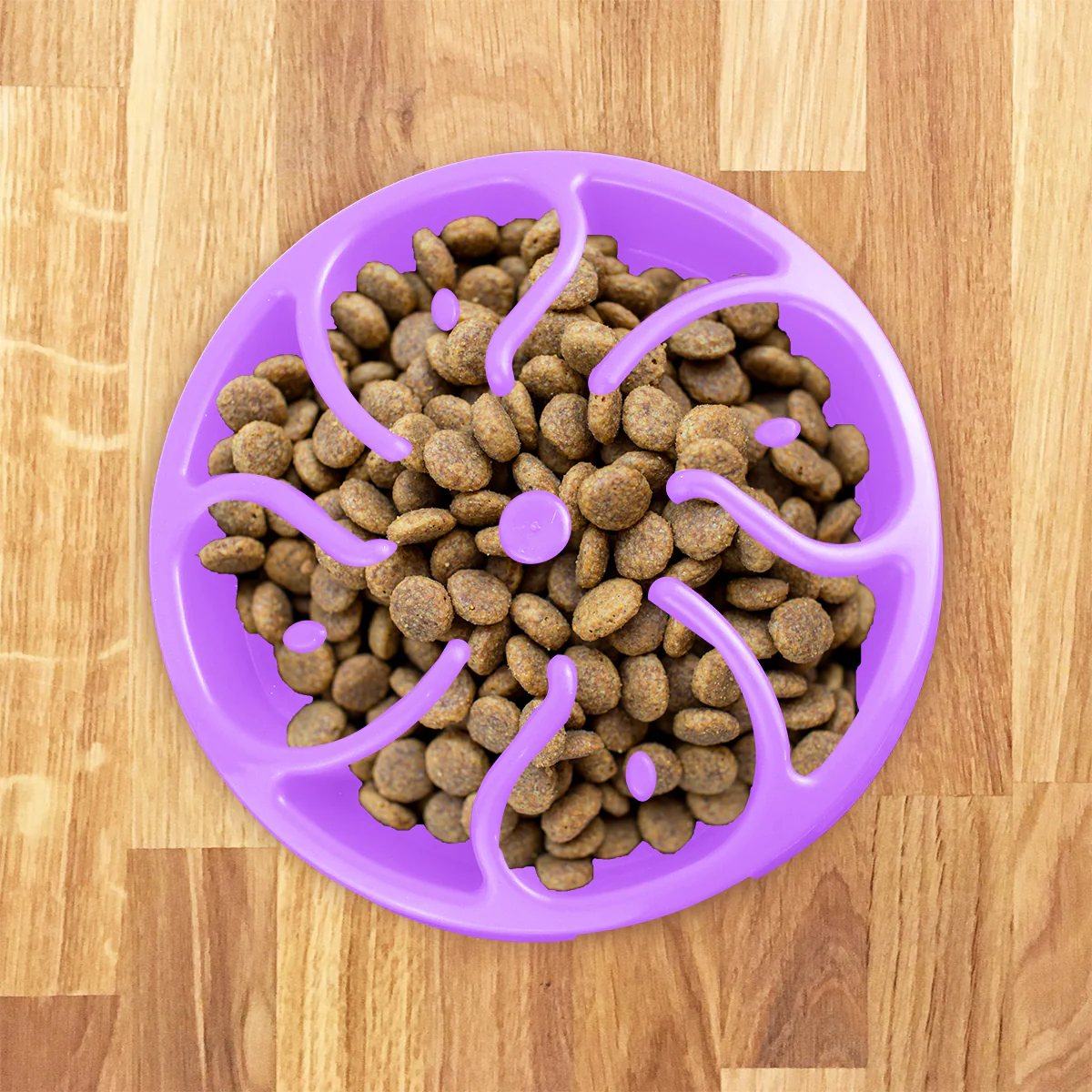 Tazón para Perro de Alimentación Lenta color Lila