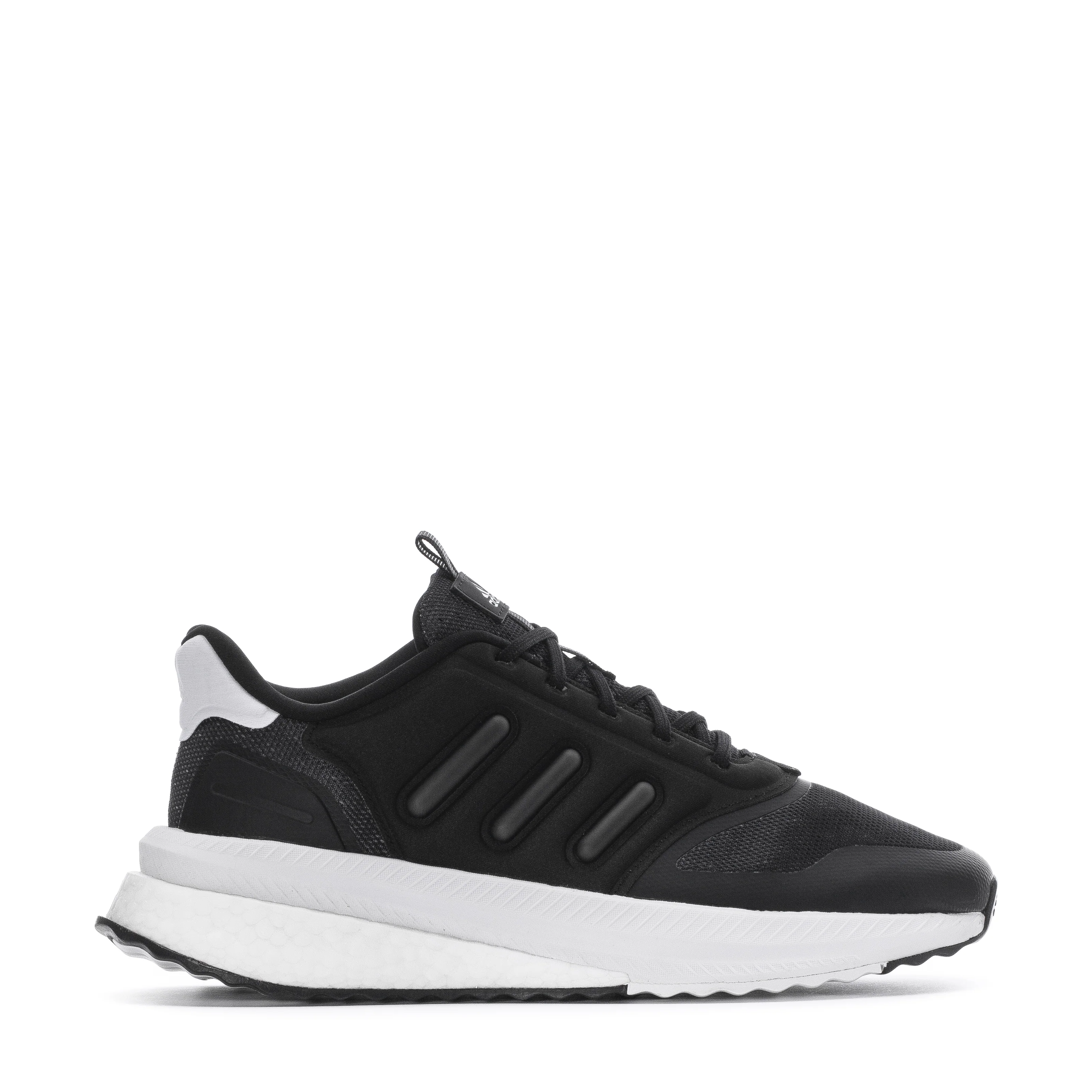 Fase X_PLR - Hombres