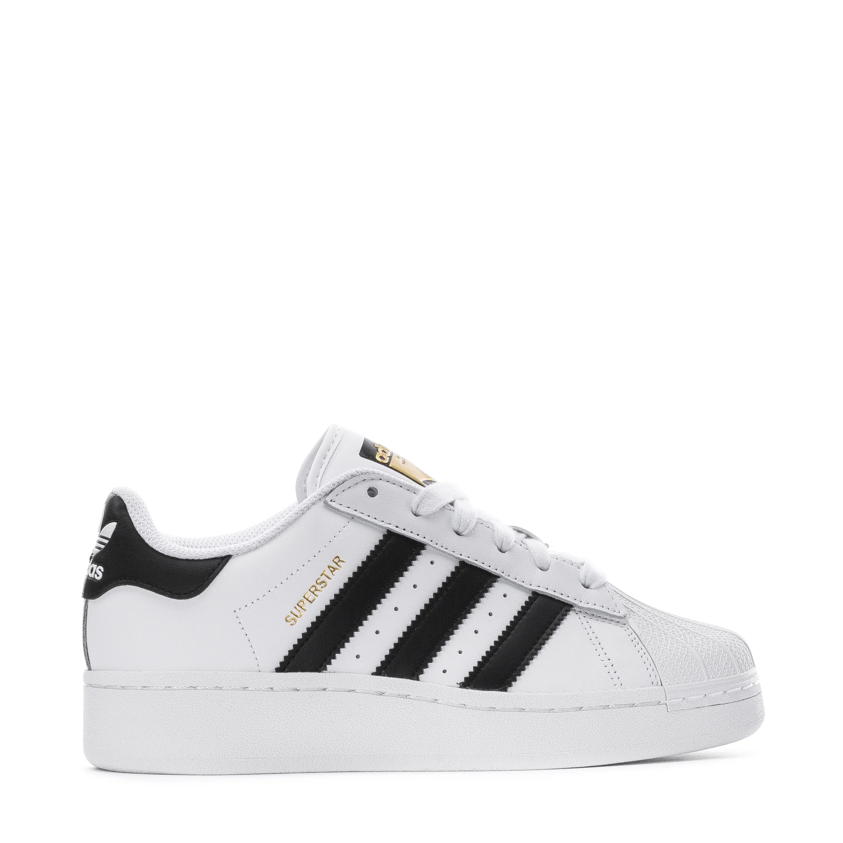 Superstar XLG - Jóvenes