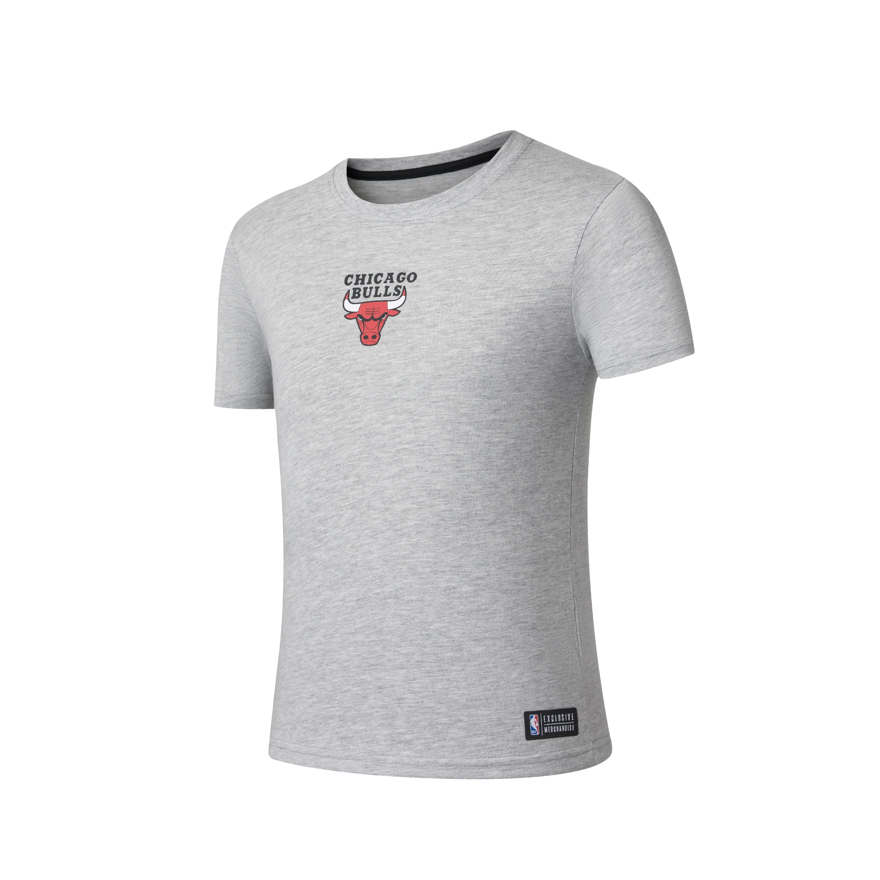 NBA Spray Effect Back Print RF T-Shirt - Chicago Bulls