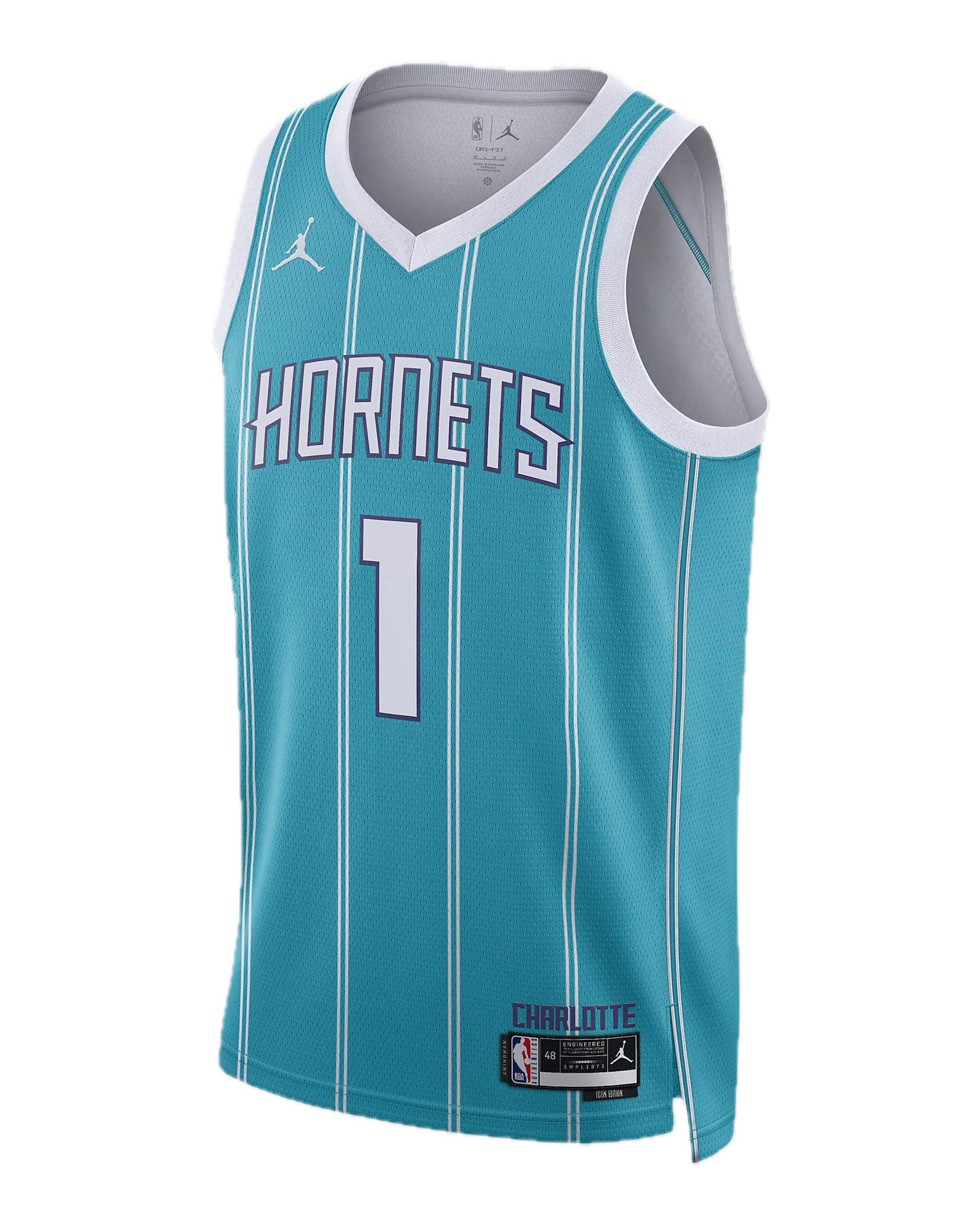 Lamelo Ball Charlotte Hornets Icon Edition 22/23 Jordan NBA Jersey