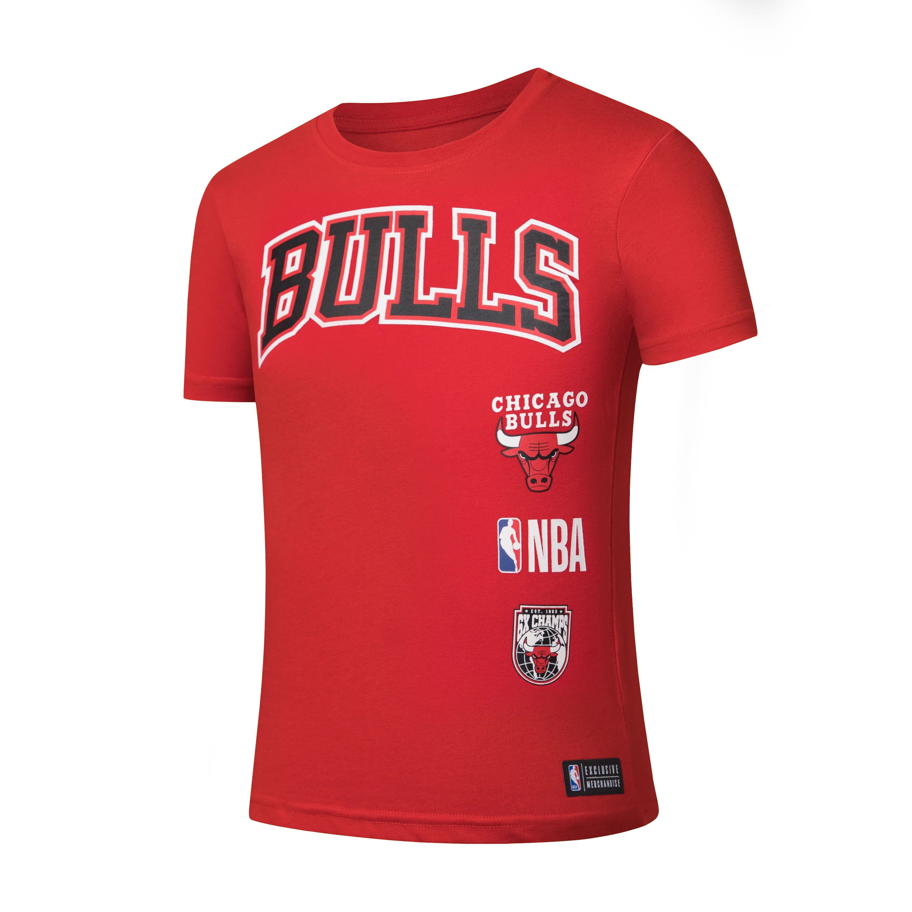 NBA RUBBER HD PRINT RF T-SHIRT - Chicago Bulls