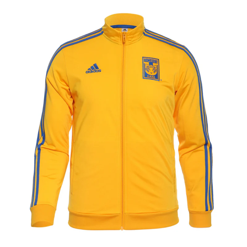 JACKET TIGRES AMARILLO 2024