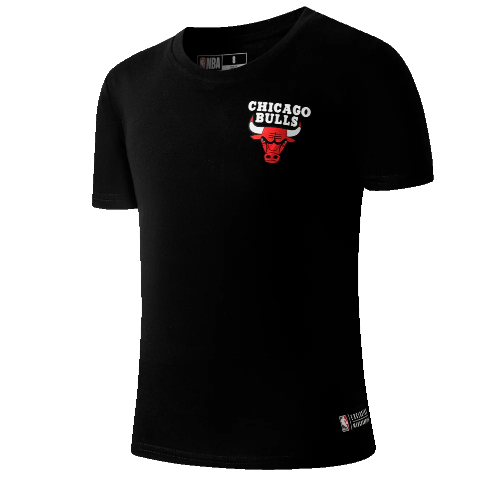 NBA Back Gradient Print Regular Fit T-Shirt - Chicago Bulls