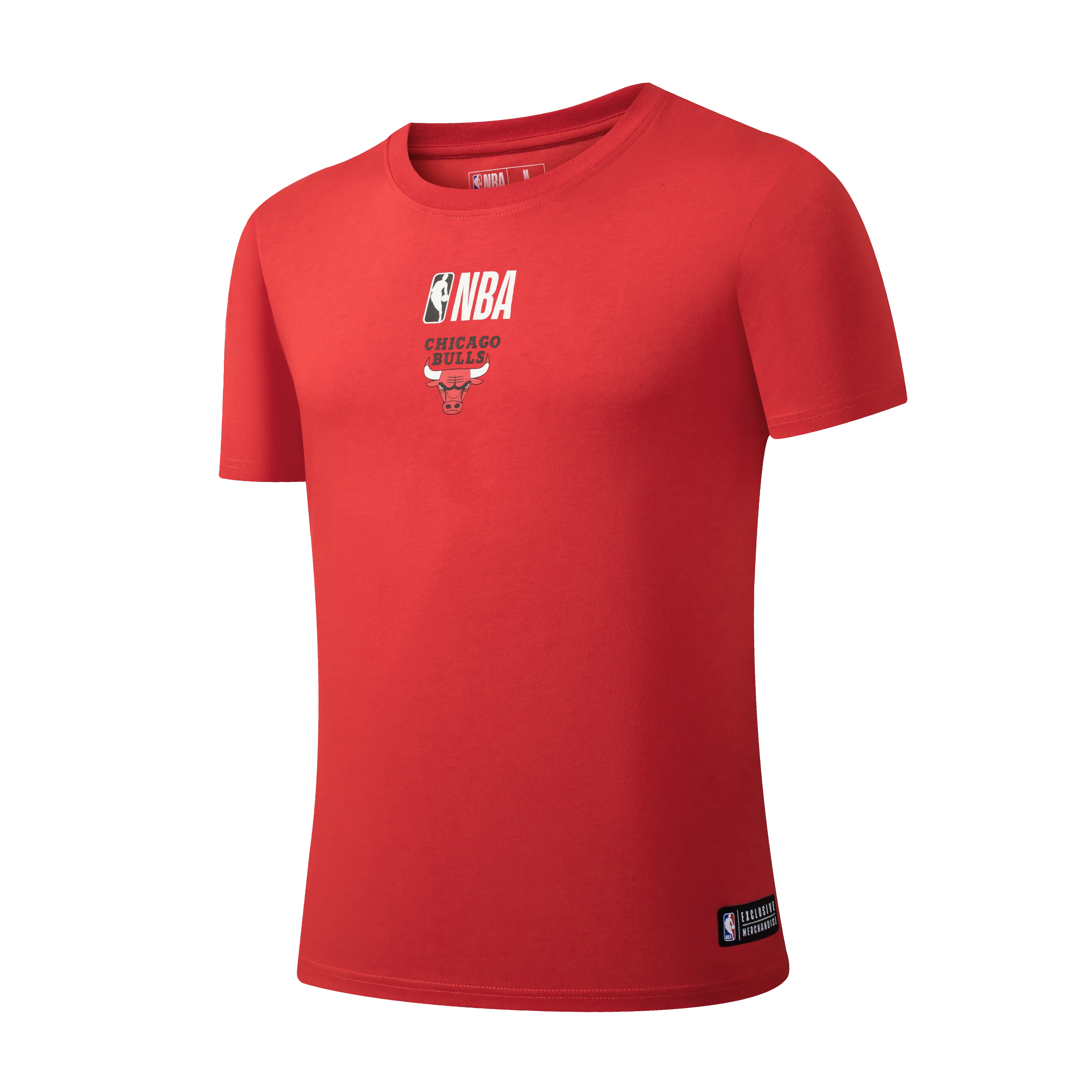 NBA Back Arch Print Long Fit T-Shirt - Chicago Bulls