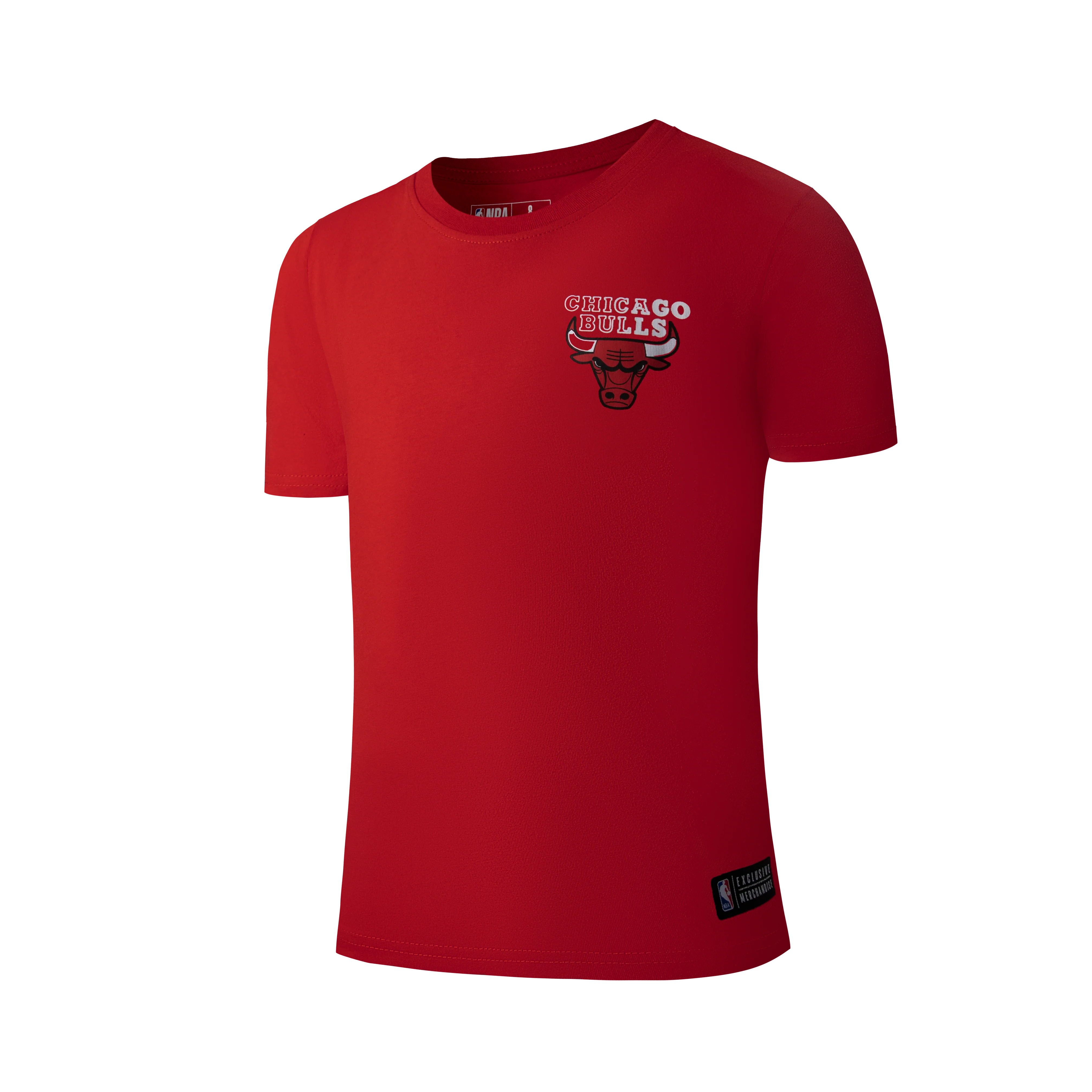 NBA Back Gradient Print Regular Fit T-Shirt - Chicago Bulls
