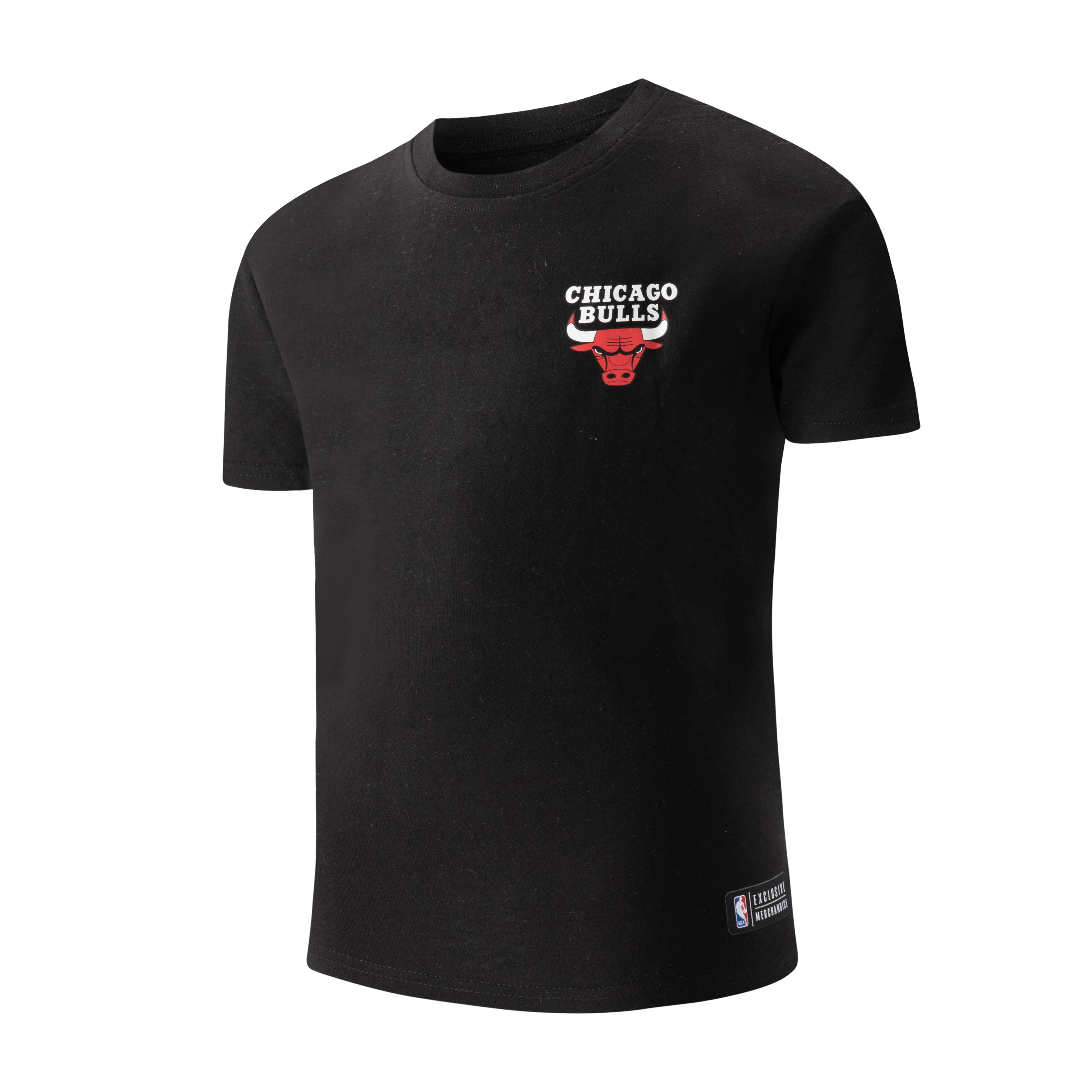 NBA Back Big Print Regular Fit T-Shirt - BULLS