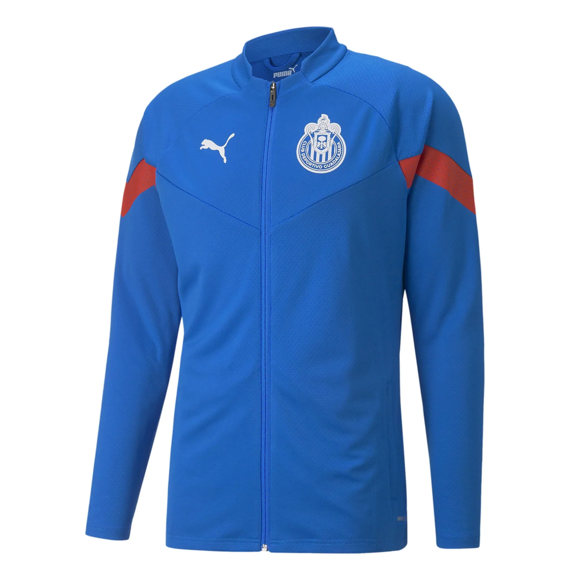 PUMA MEN'S CHIVAS TRAINING JACKET-Royal