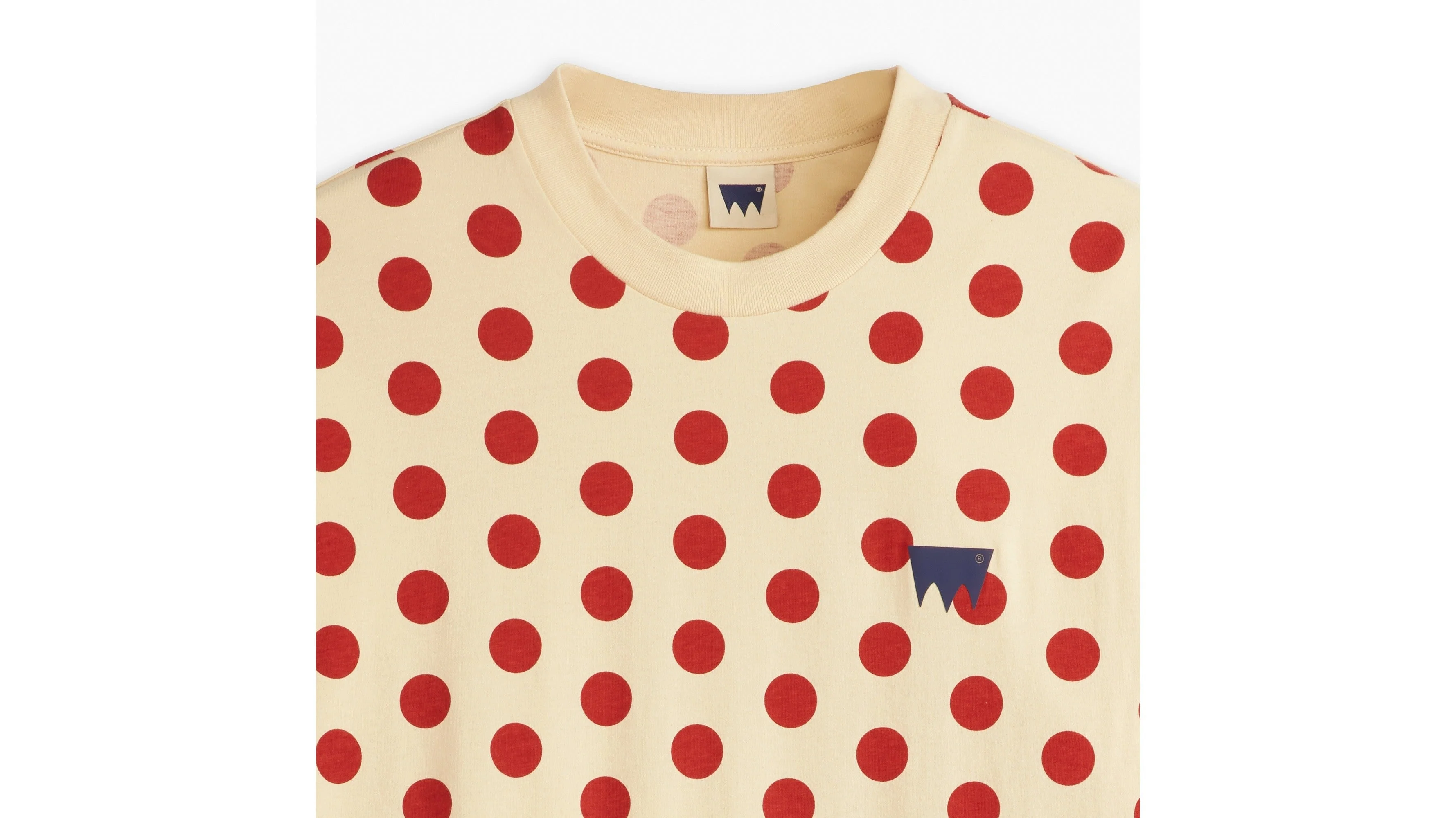 Levi's® Skateboarding Men's Graphic Boxy T-Shirt