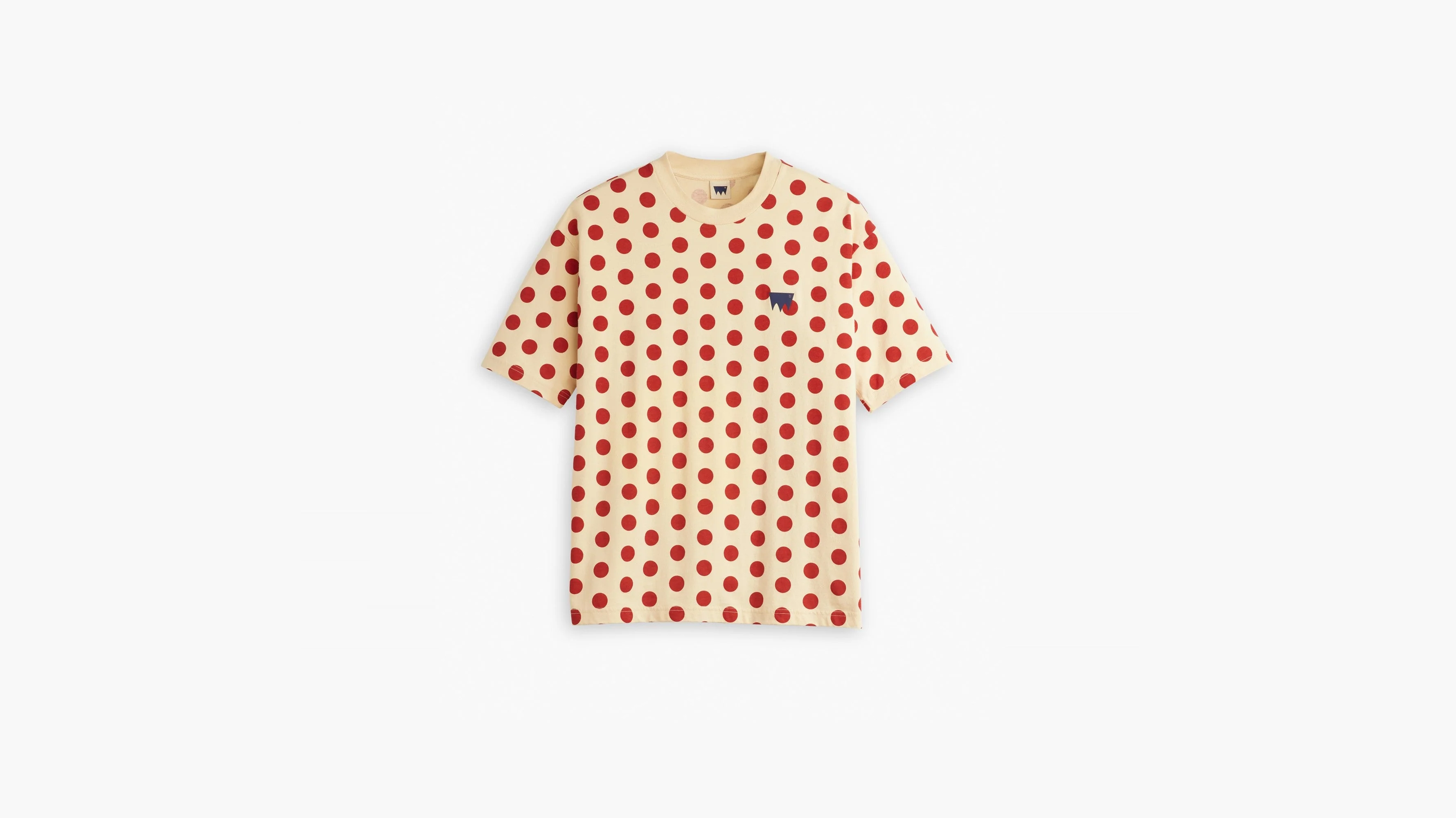 Levi's® Skateboarding Men's Graphic Boxy T-Shirt
