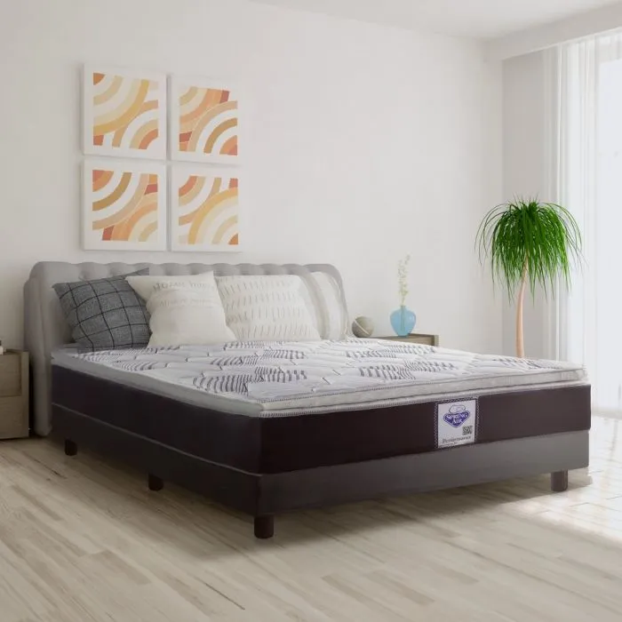 Spring Air Colchón Celebration Plus