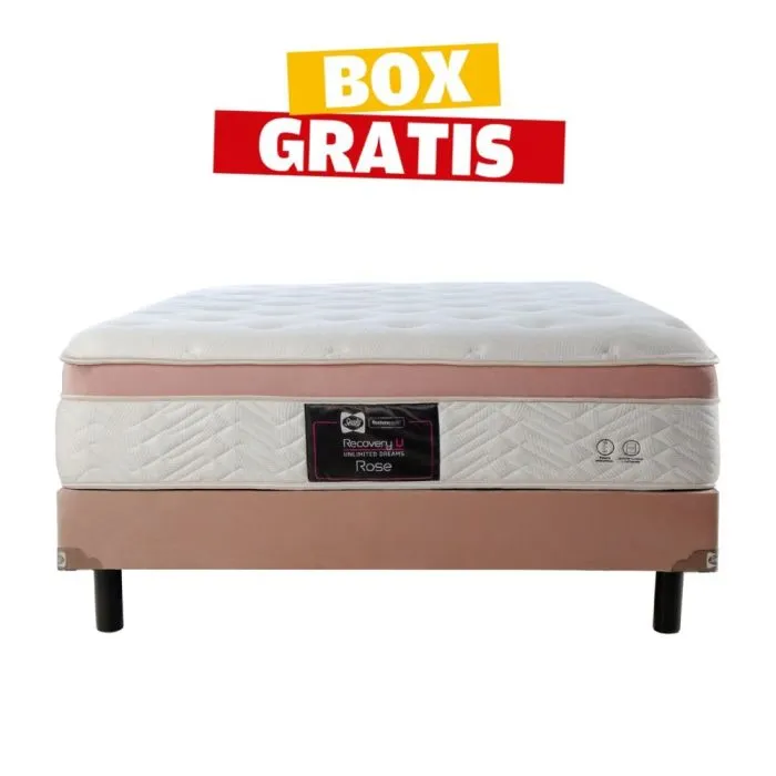 Sealy Colchon Rose
