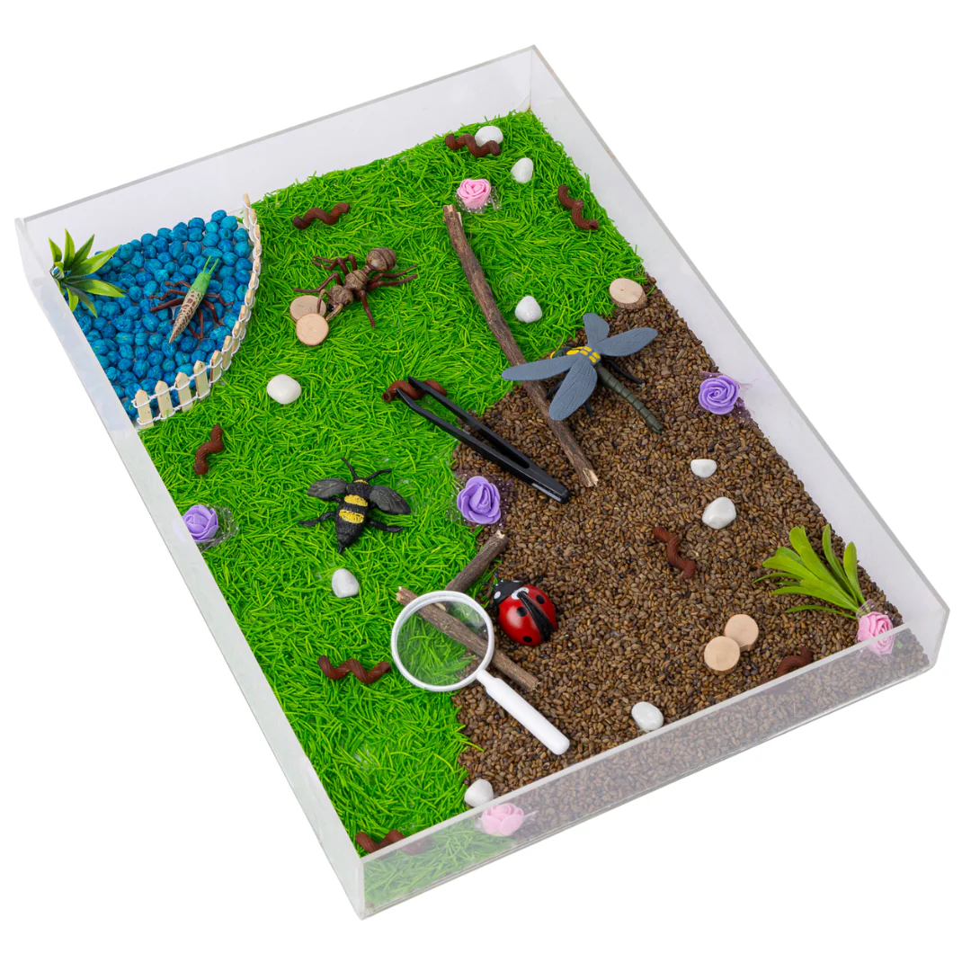 Bugs and Crawly Creatures I Pretend Play  I Nature Kit I For Kids 2 - 7 years