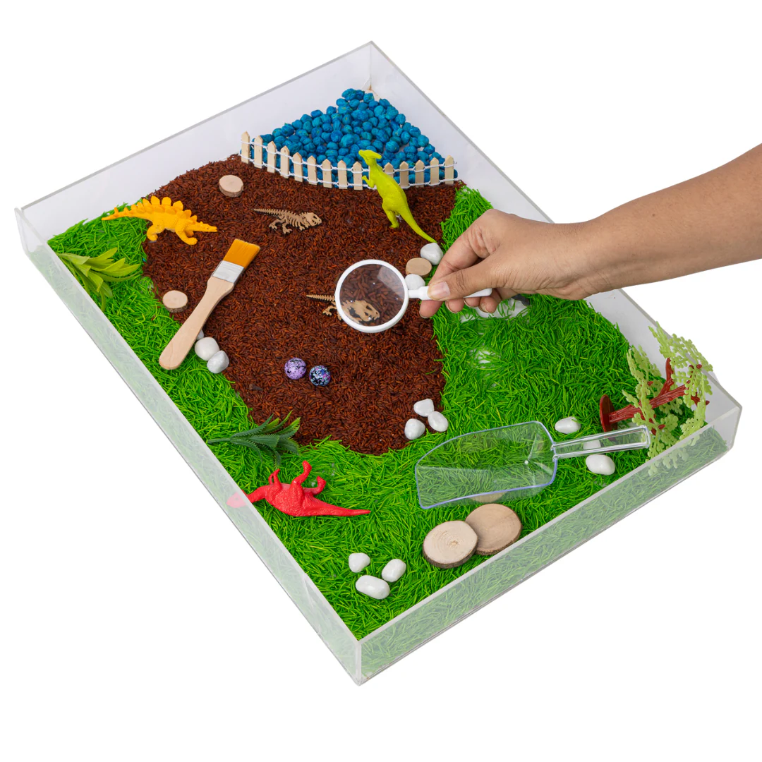 Dino Jungle Hunt With Bones I For Kids 3-7 Years I Dinosaur Themed Gift Toy