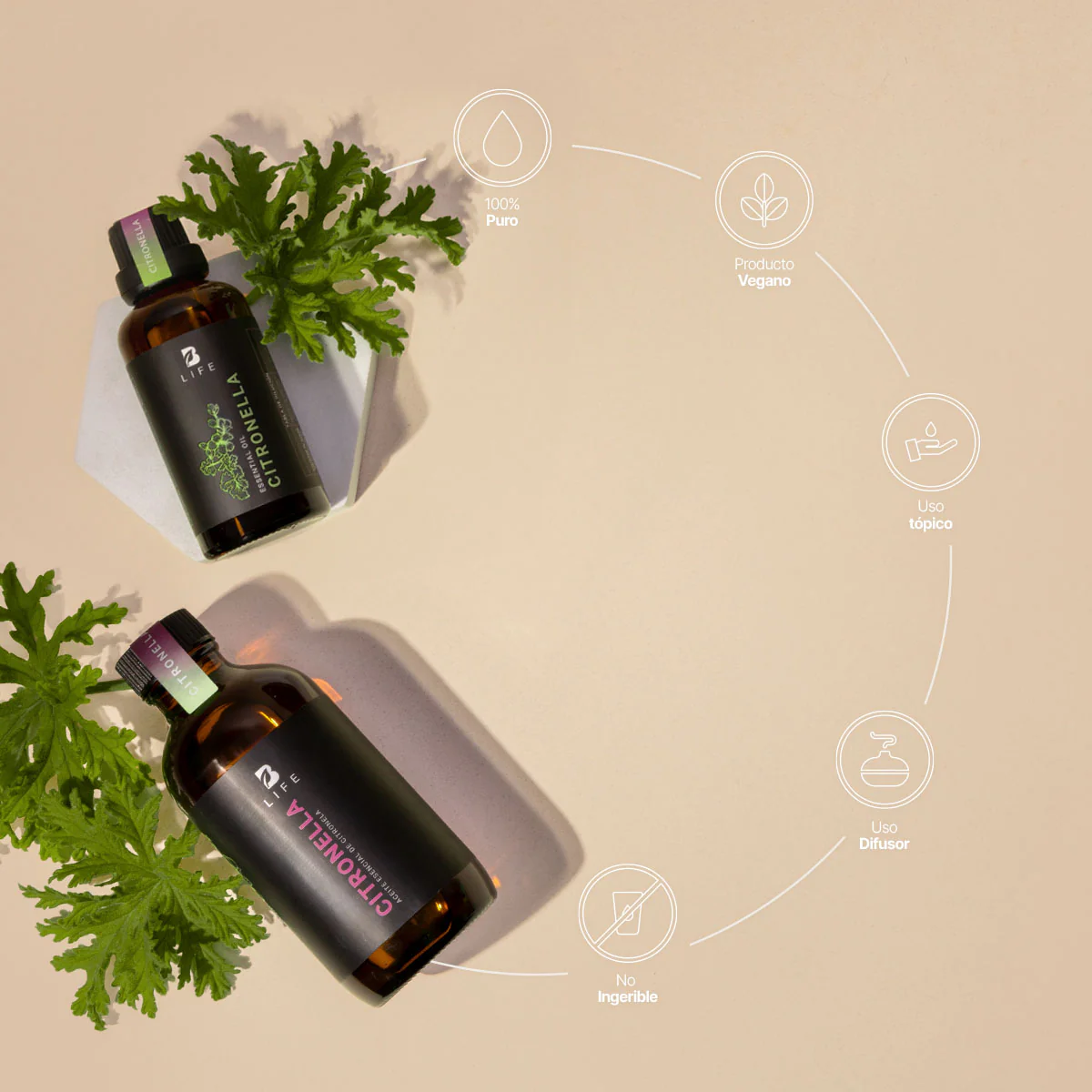 Essential Oil Citronella | Aceite Esencial Citronela 50 y 120 ml