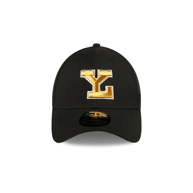 Leones de Yucatán LMB Game Cap Away 39THIRTY Elástica