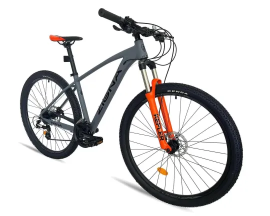 Bicicleta de Montaña Zigna Kepler 29