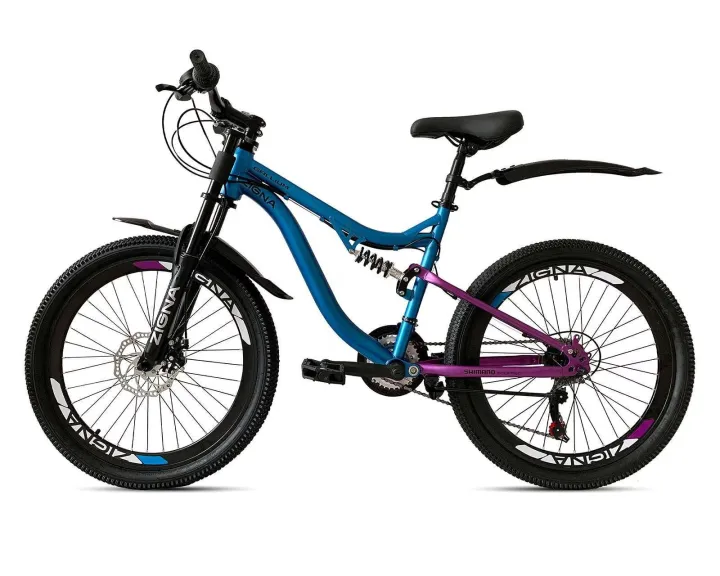 Bicicleta de Montaña Zigma Gallium 24
