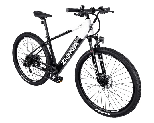 Bicicleta Eléctrica Motor 250 W Zigna Phi 29