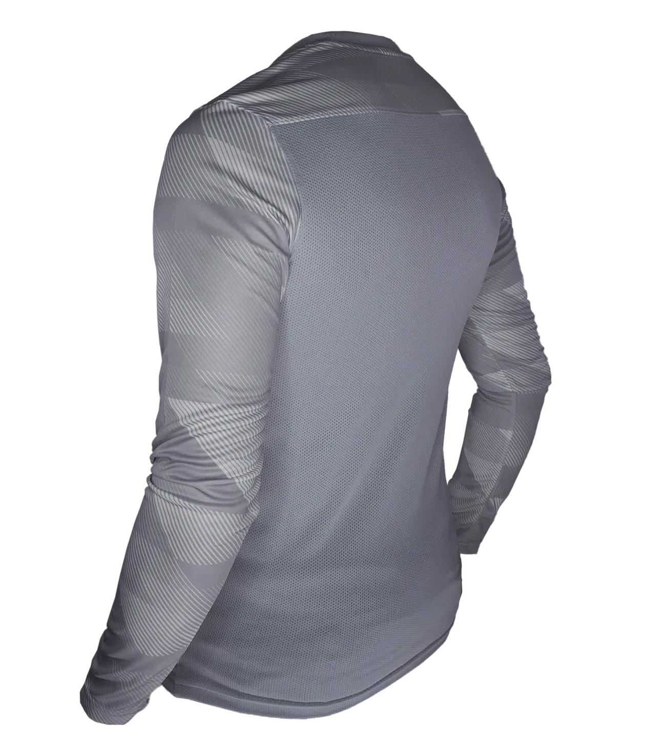 Jersey de Portero Nike Park IV LS  GK  Grey