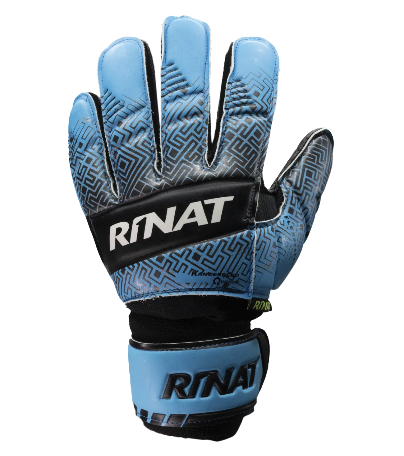 Kancerbero Quantum Basico AS Azul/Negro Rep