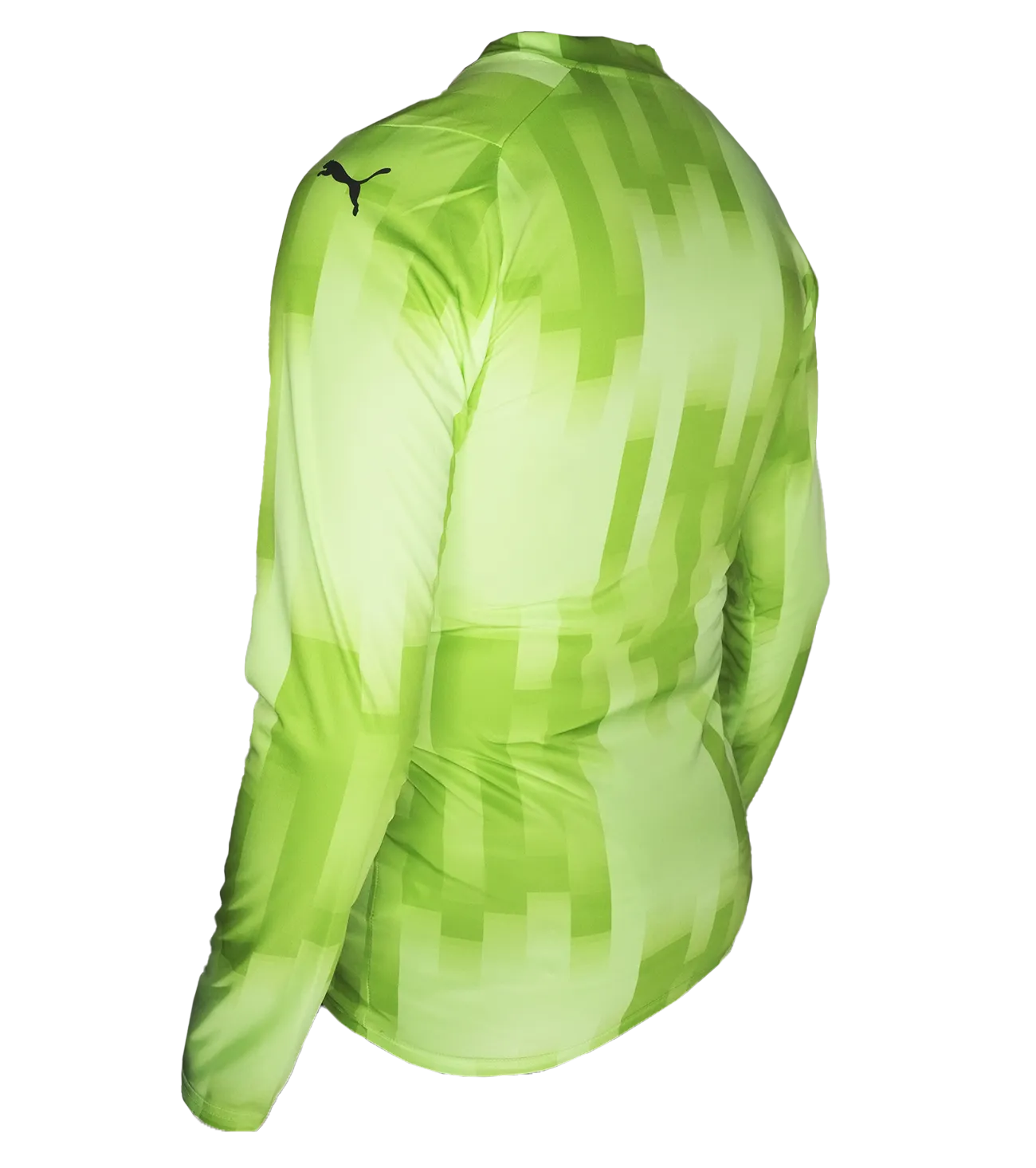 Jersey de Portero Puma Team Target Verde
