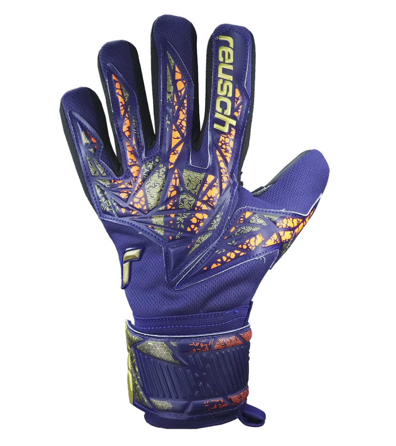 Reusch Attrakt Infinity NC Premium Blue / Gold /  Black