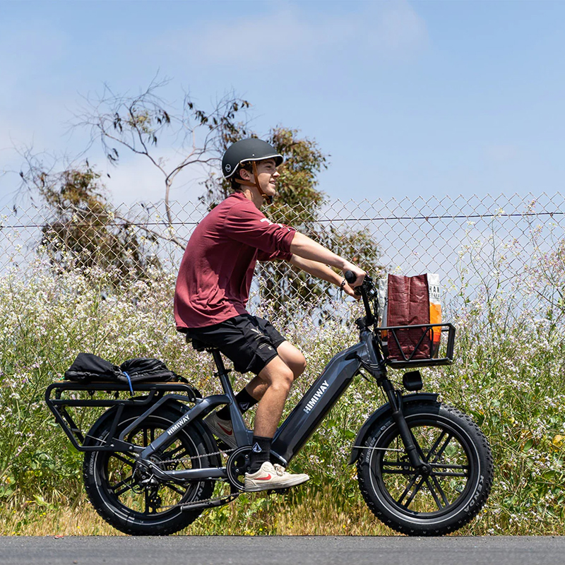 Perro grande Himiway | Bicicleta de carga eléctrica