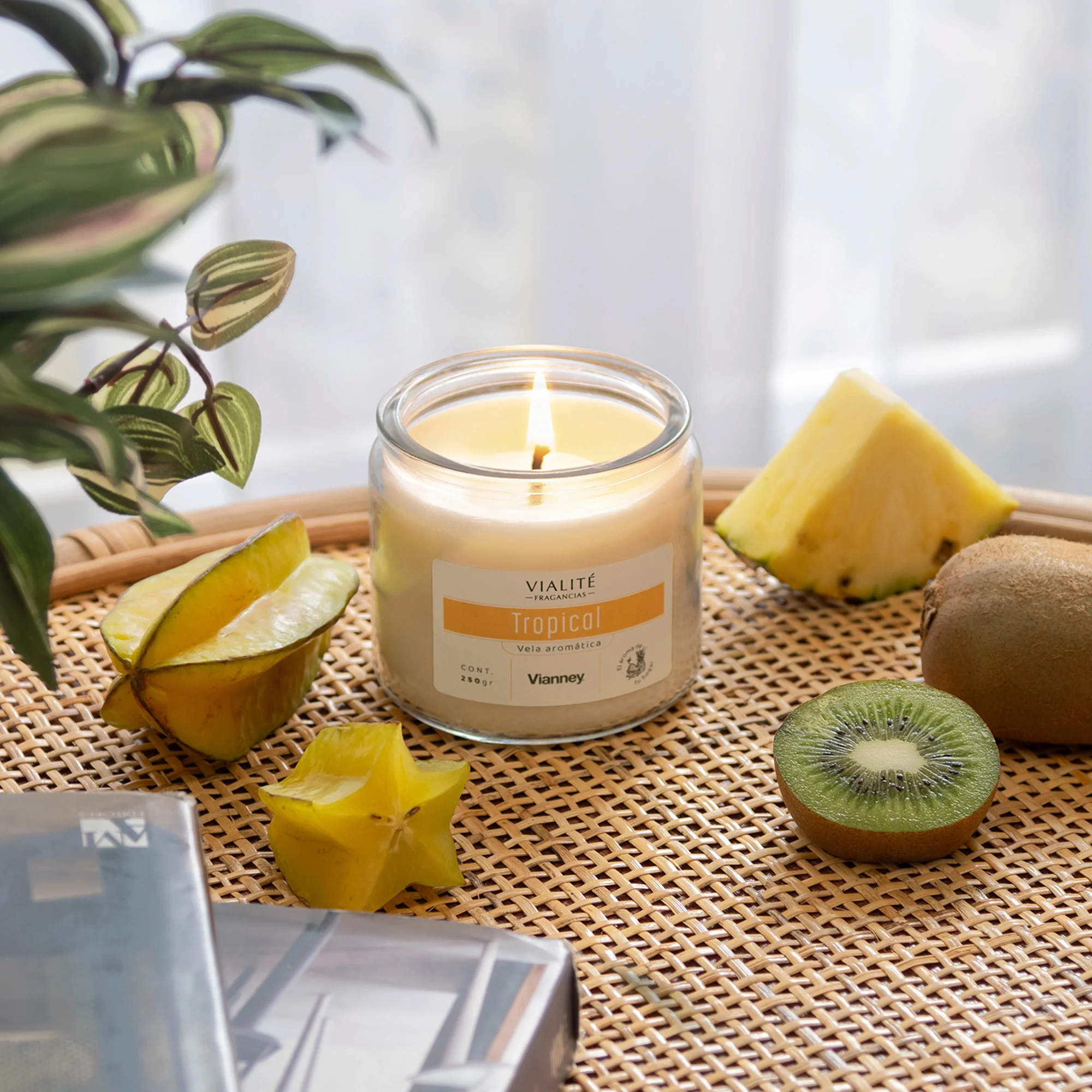 Vianney Home Velas Tropical
