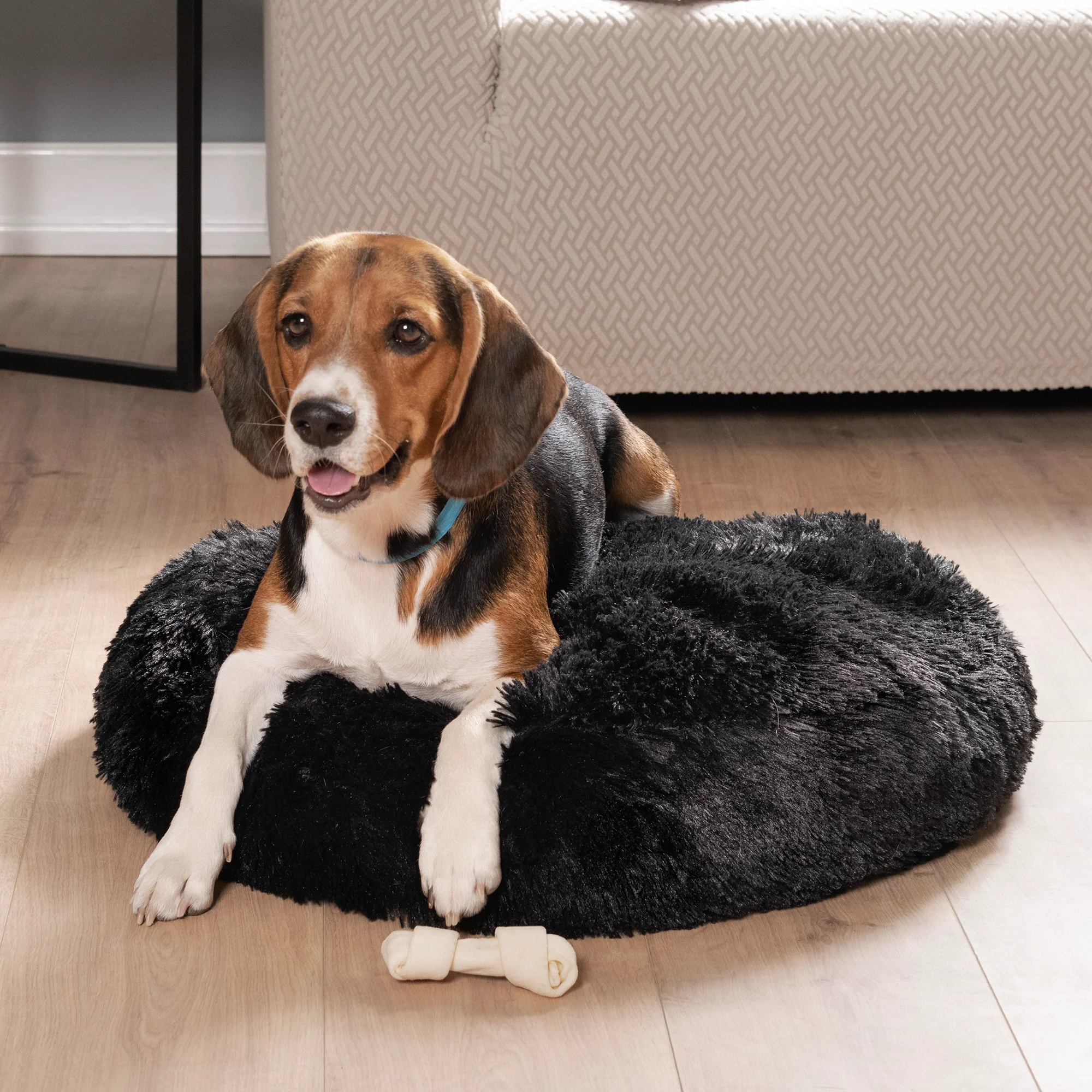 Mini Puff Everest Nebraska