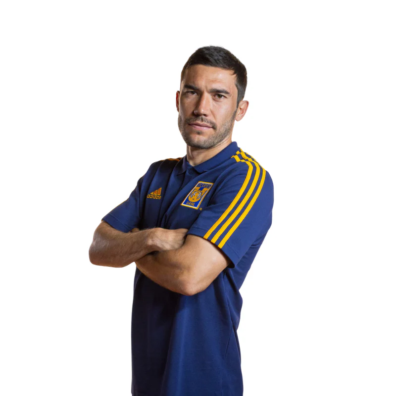 POLO AZUL TIGRES 2024