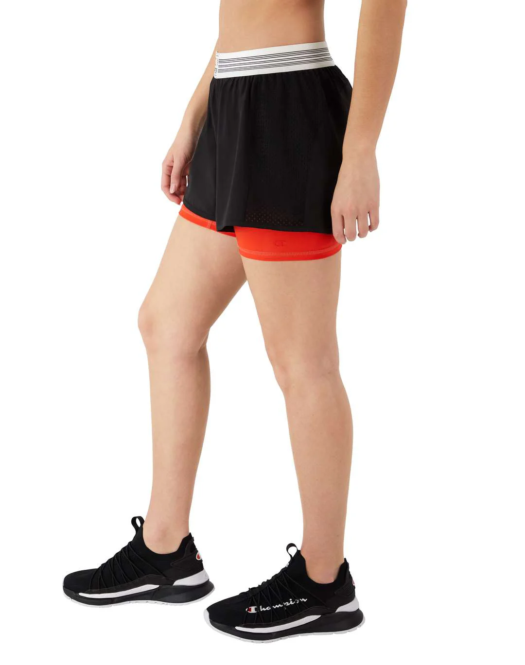 Short Re - Issue Absolute Mesh