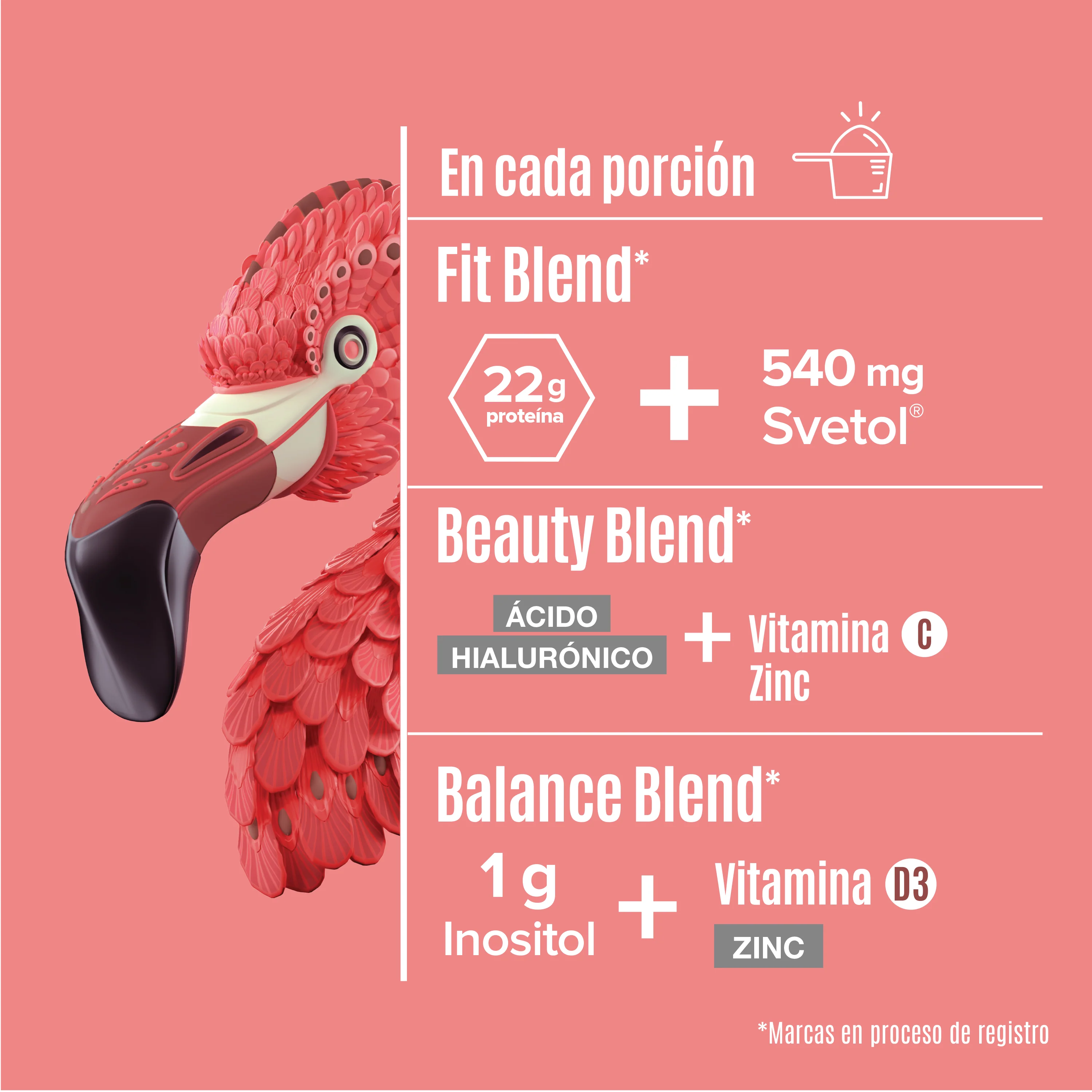 Fitmingo Protein Moka 1.02 kg - 30 Servicios