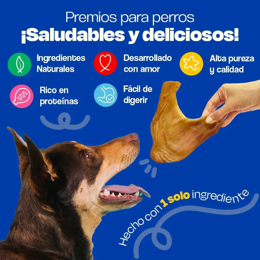 Orejas de Cerdo Deshidratadas