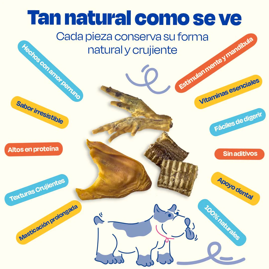 Kit de 3 Premios Deshidratados para Perros de Razas Grandes