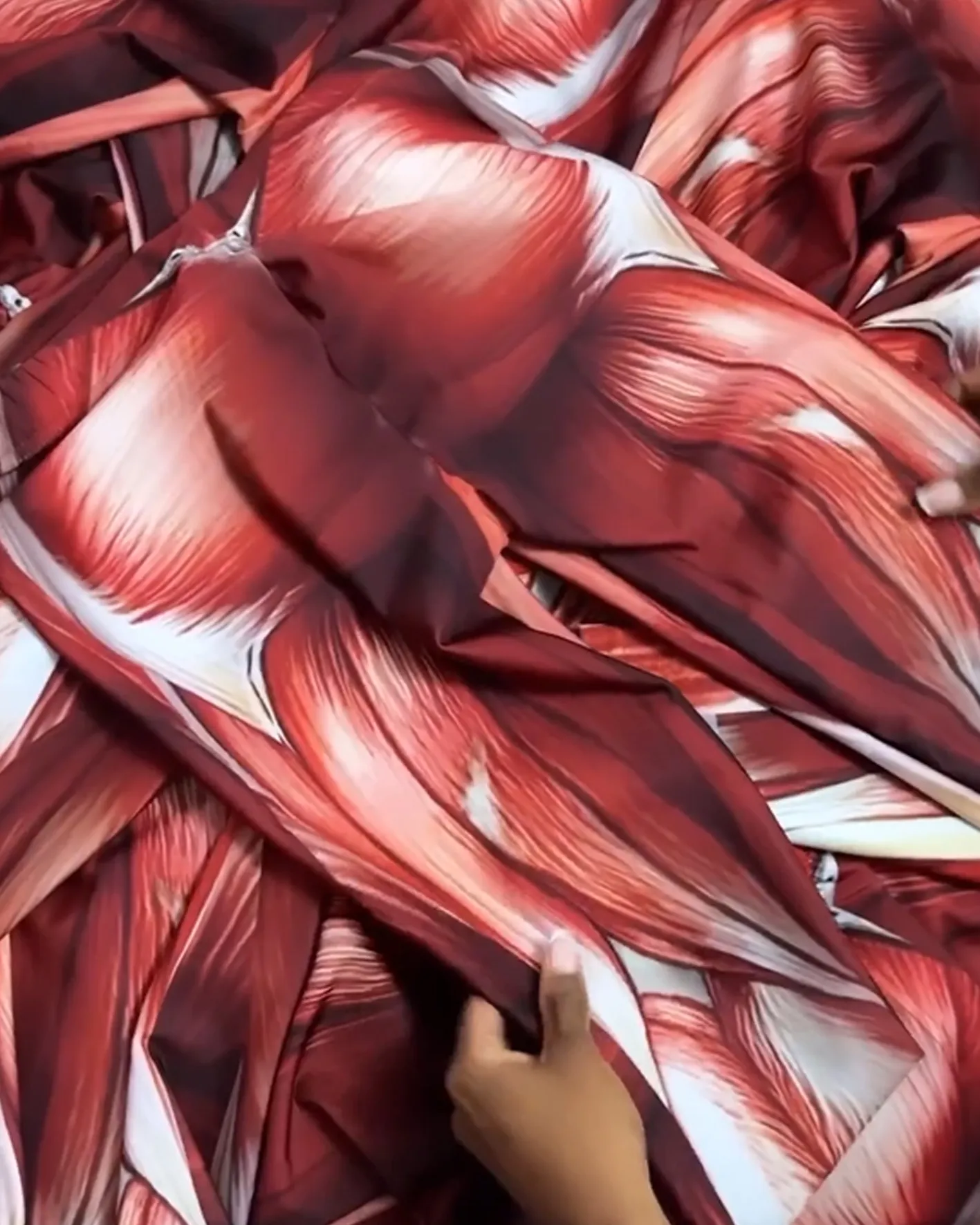 Muscle Yoga Pants（Pre-Sale）