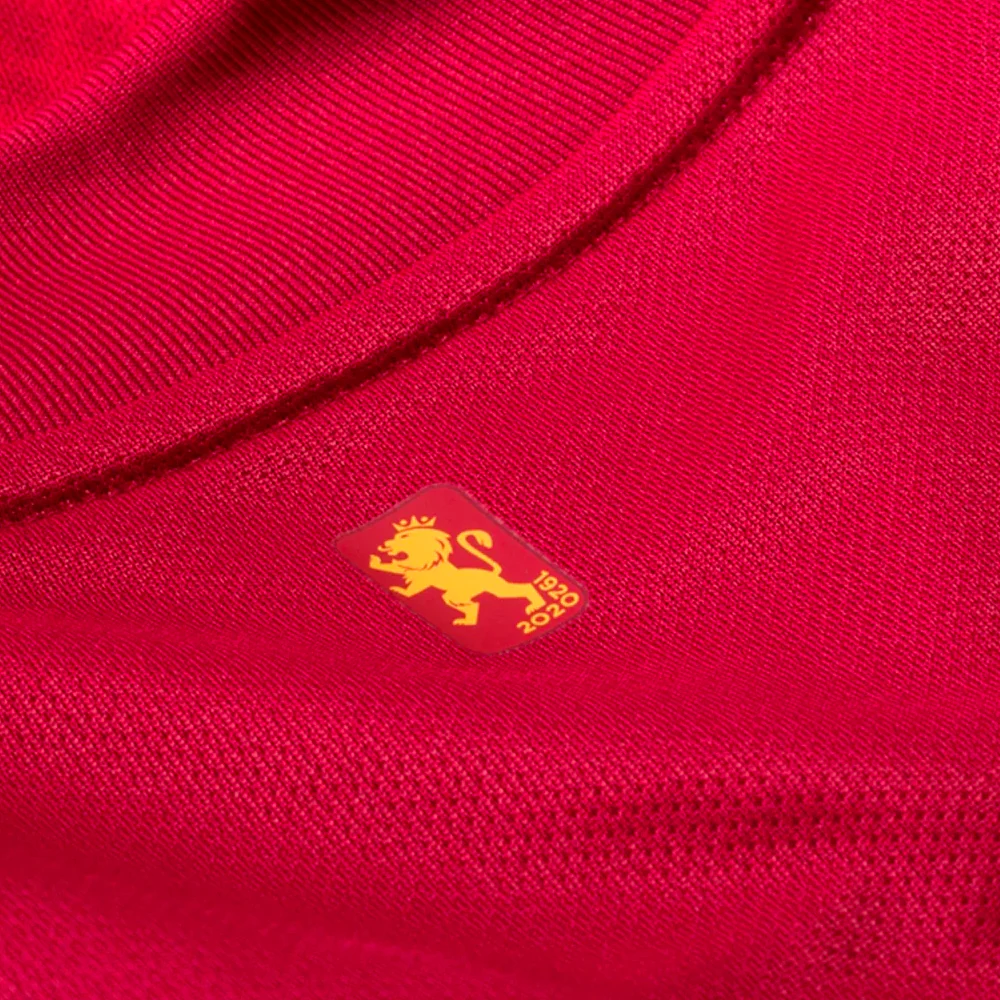 adidas Men's Spain 2020 Home Jersey Red/Bold Gold