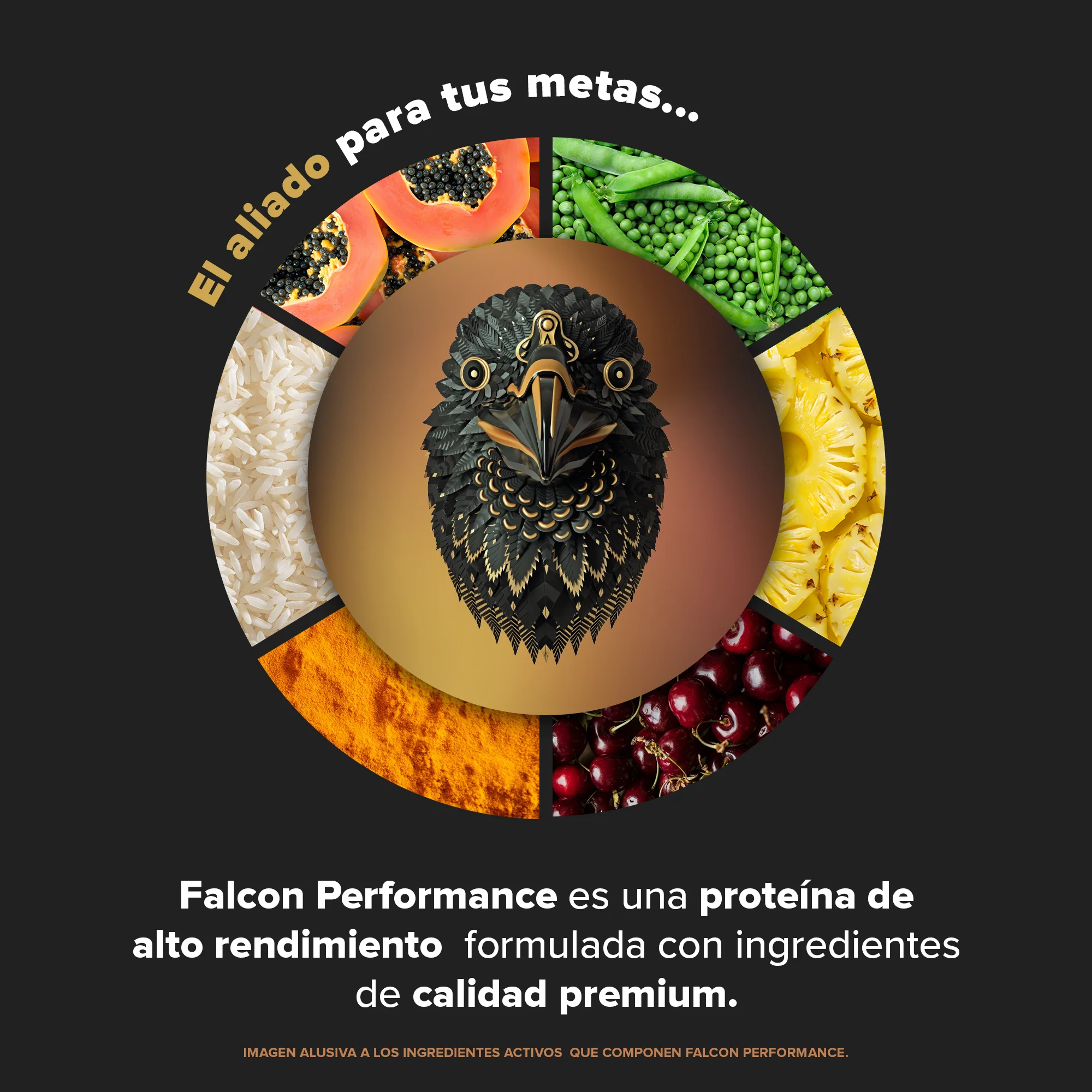 Falcon Performance Choco Bronze 722 g - 19 Servicios