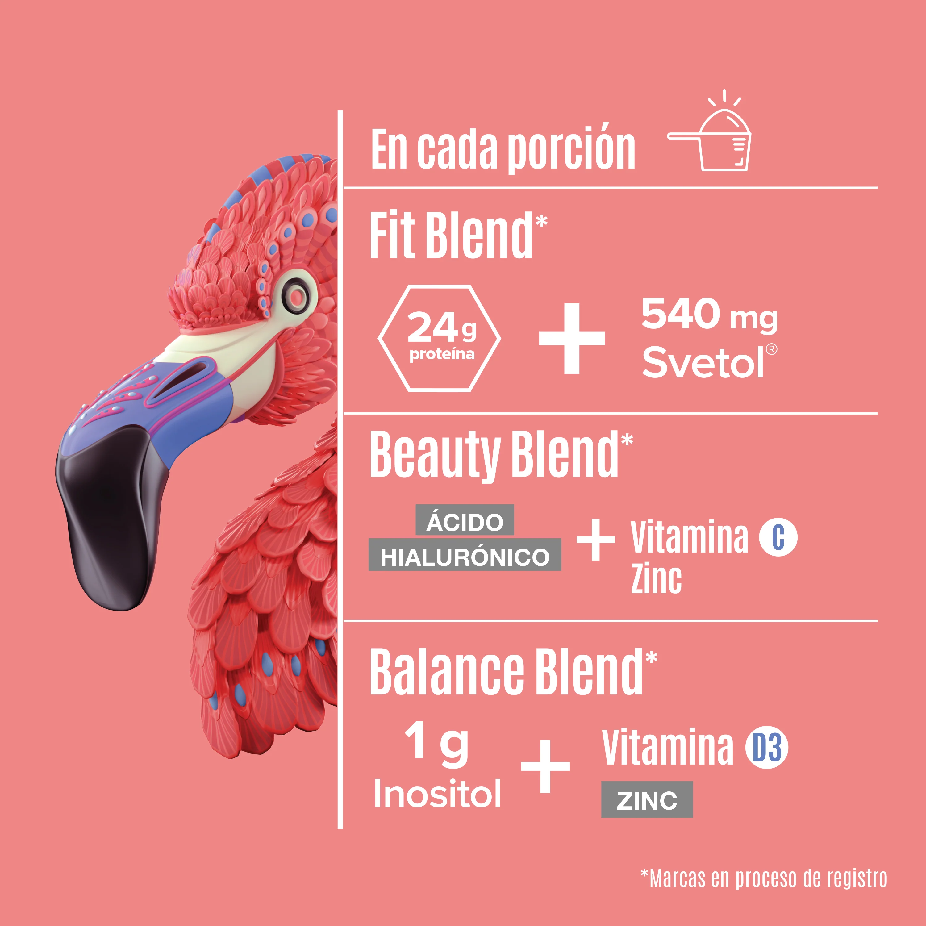 Fitmingo Protein Blueberry 10 pack sobres