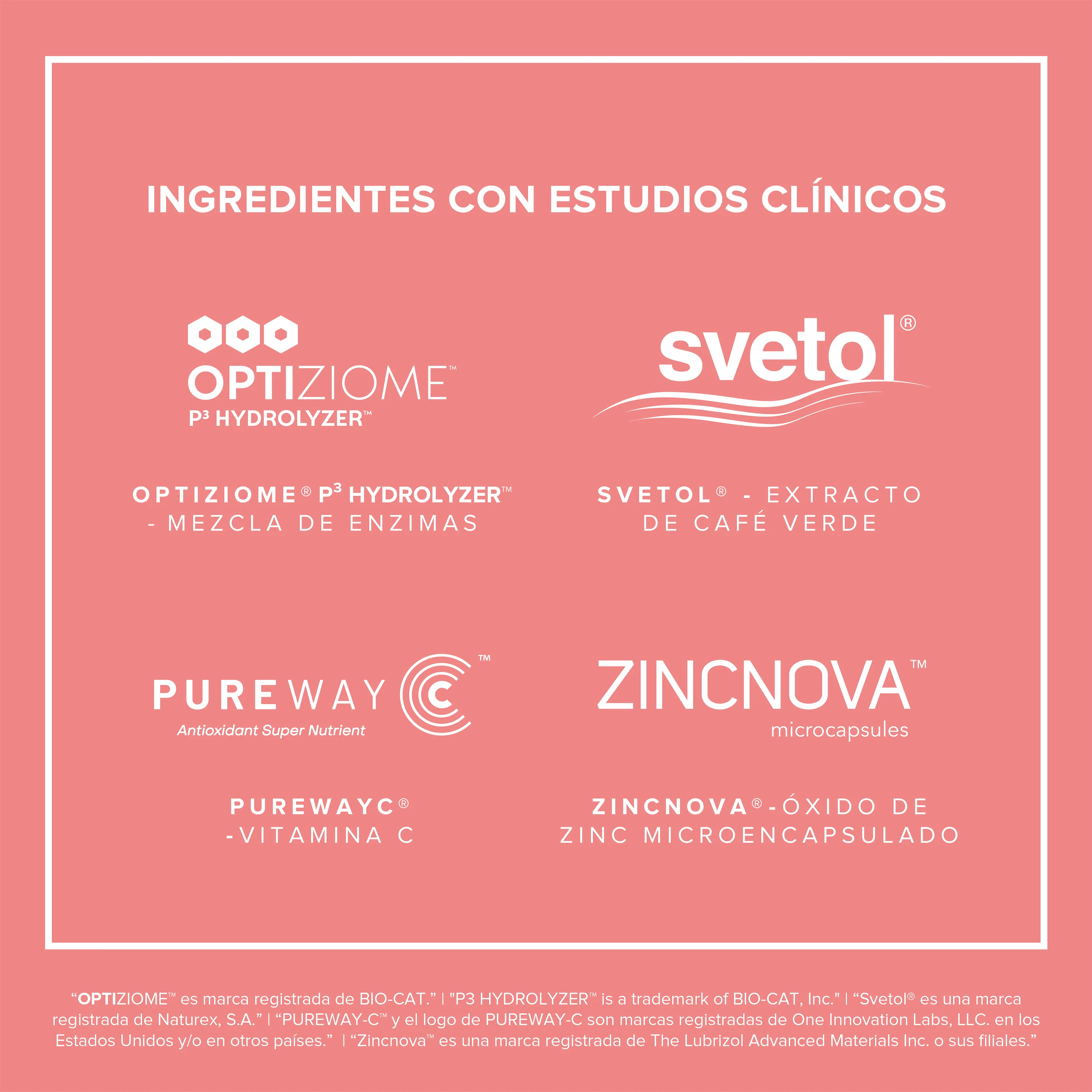 Fitmingo Protein Sampler 10 pack sobres