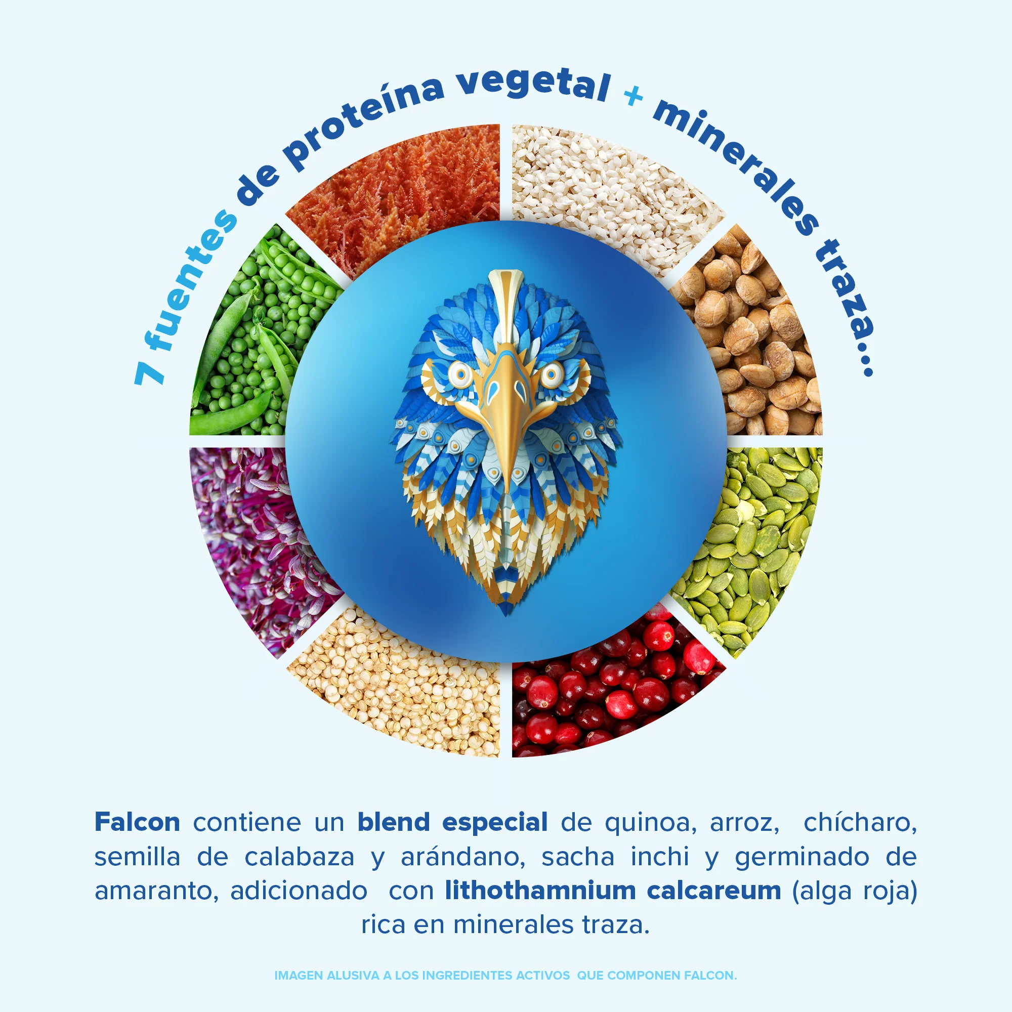 Falcon Protein Vainilla 510 g - 17 Servicios