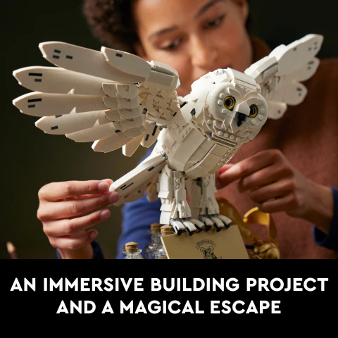 LEGO® Harry Potter™ Hogwarts™ Icons - Collectors' Edition 76391