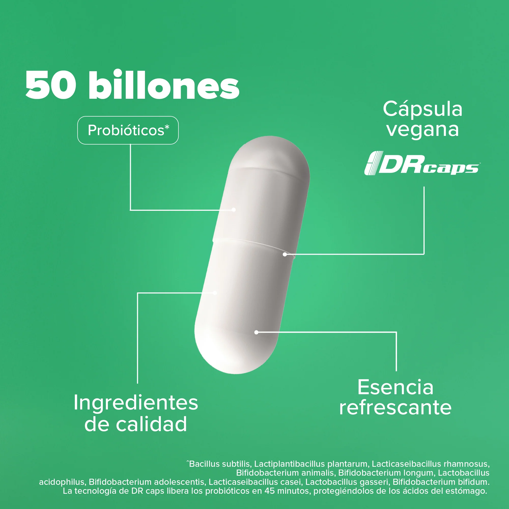 Premium All-In-One Probiotic - Probióticos con 50 Billones de UFC - 60 Cápsulas - 60 Porciones