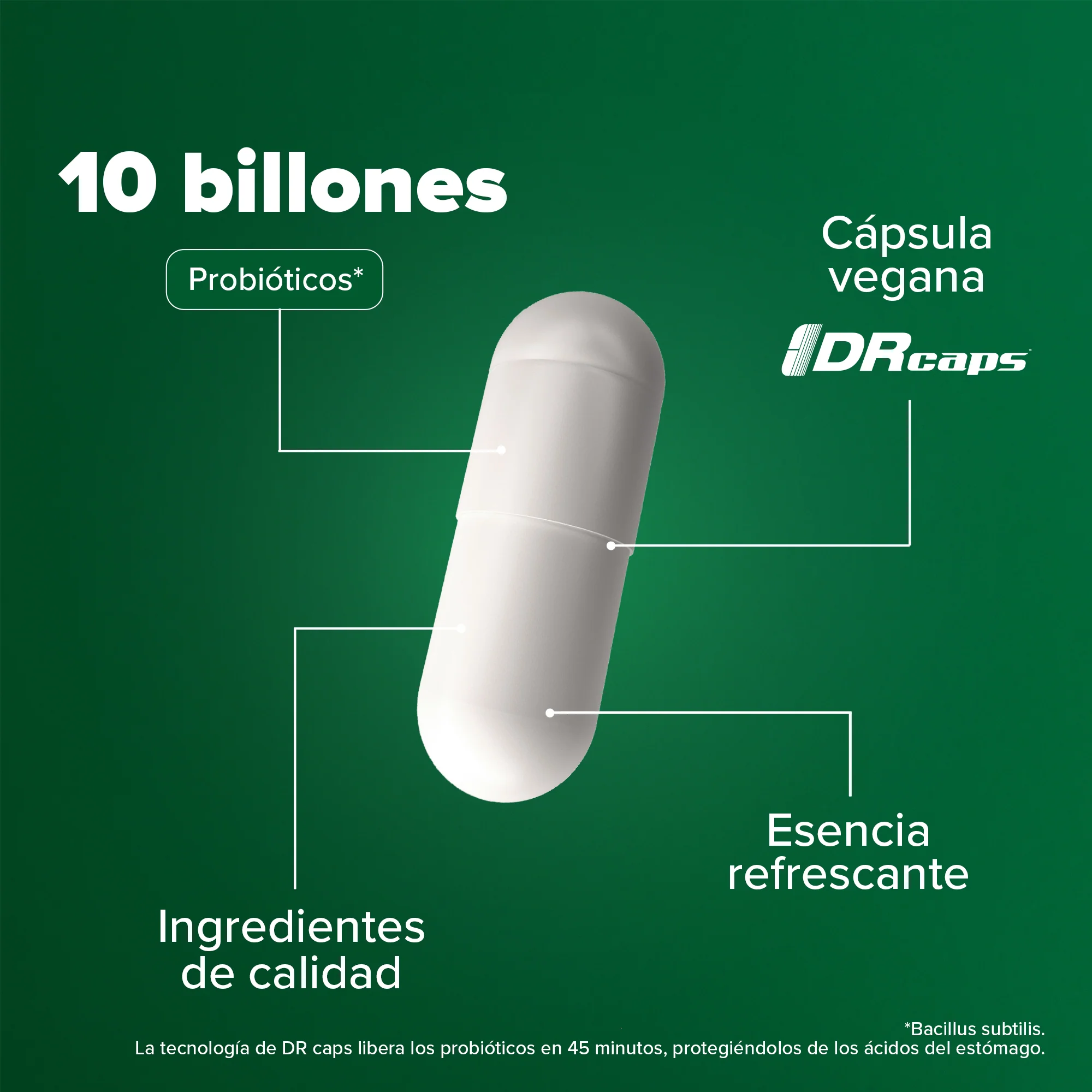 Daily Spore Probiotic - Probióticos con 10 Billones de UFC - 140 Cápsulas - 140 Porciones