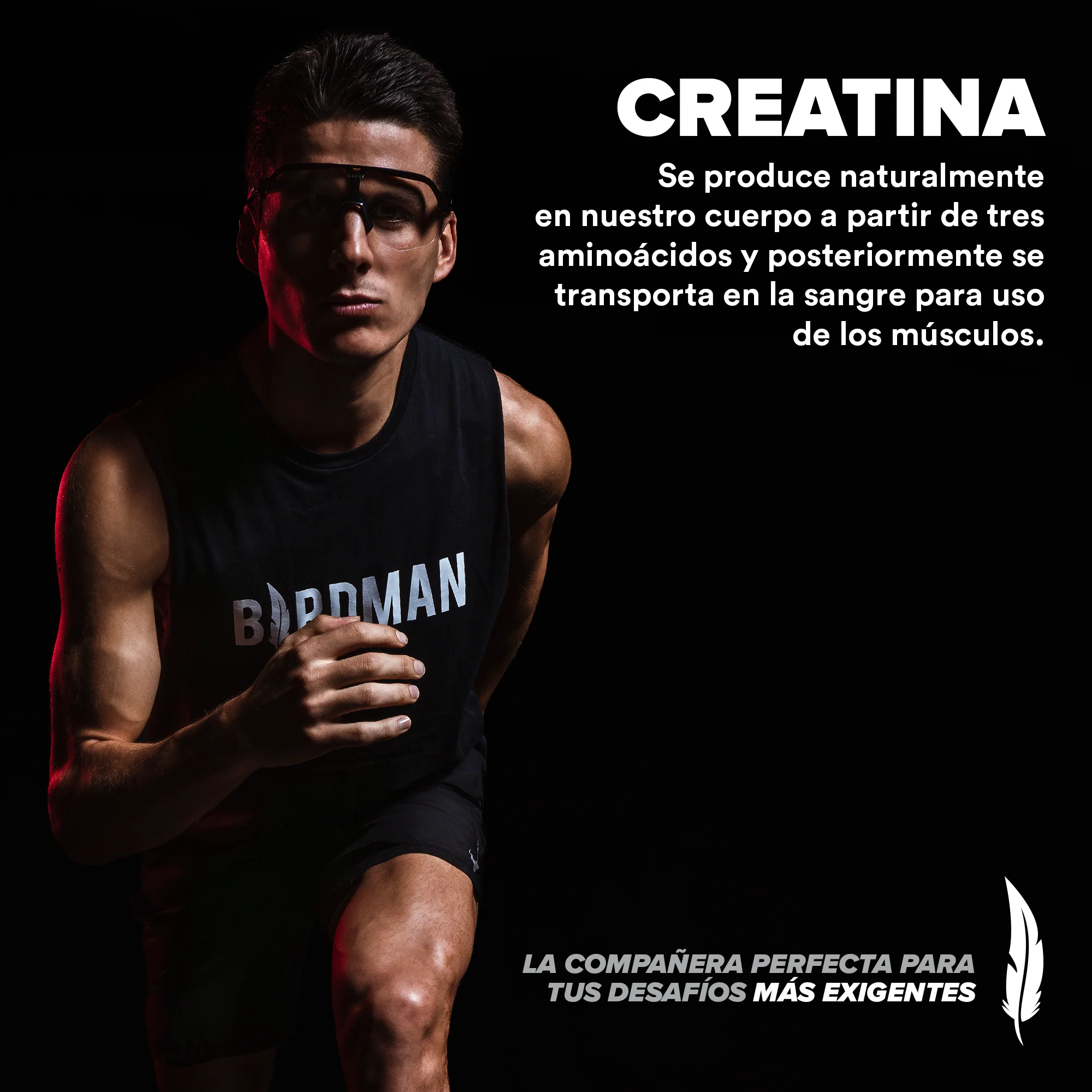 Creatina Monohidratada 450 g - 90 Servicios pack