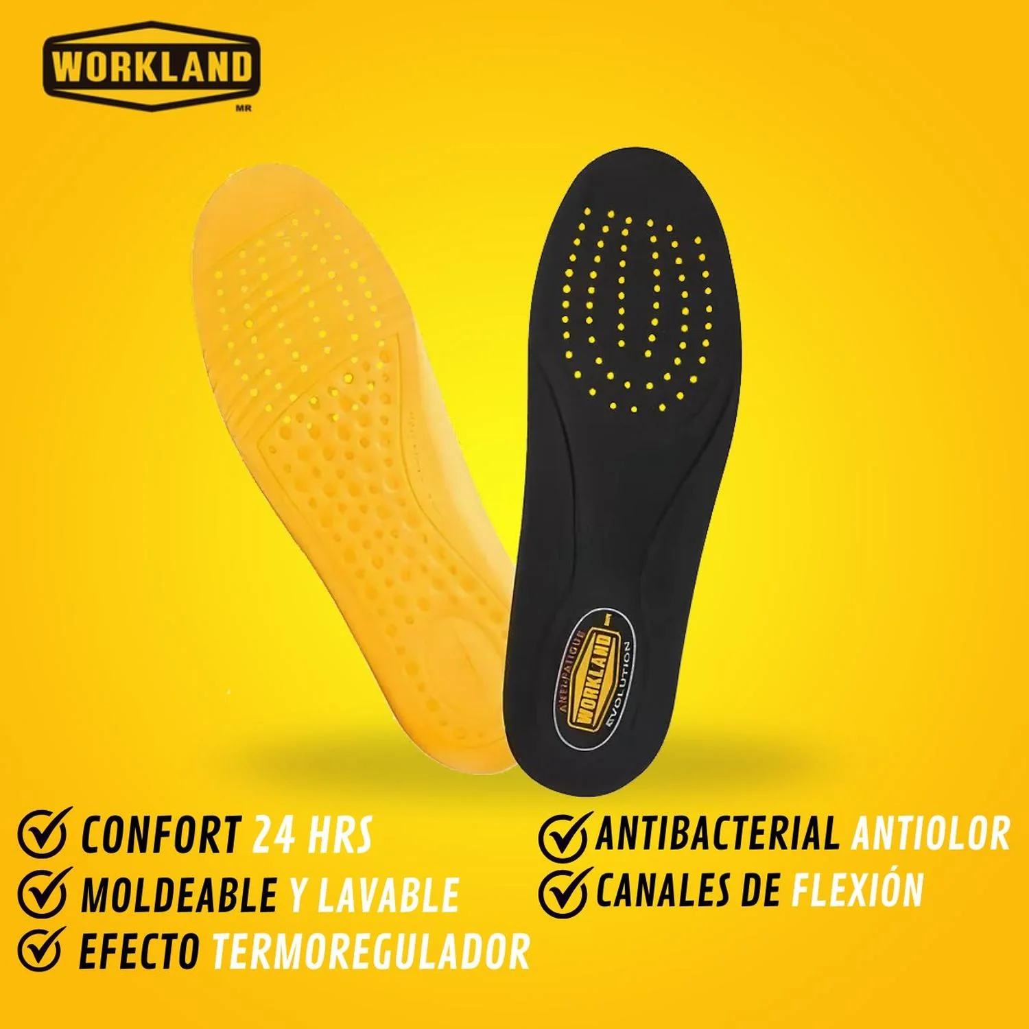 Plantilla Workland Evolution