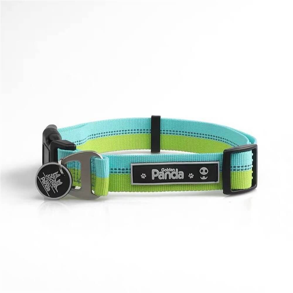 Collar de correa para perros de colores: nailon de alta resistencia