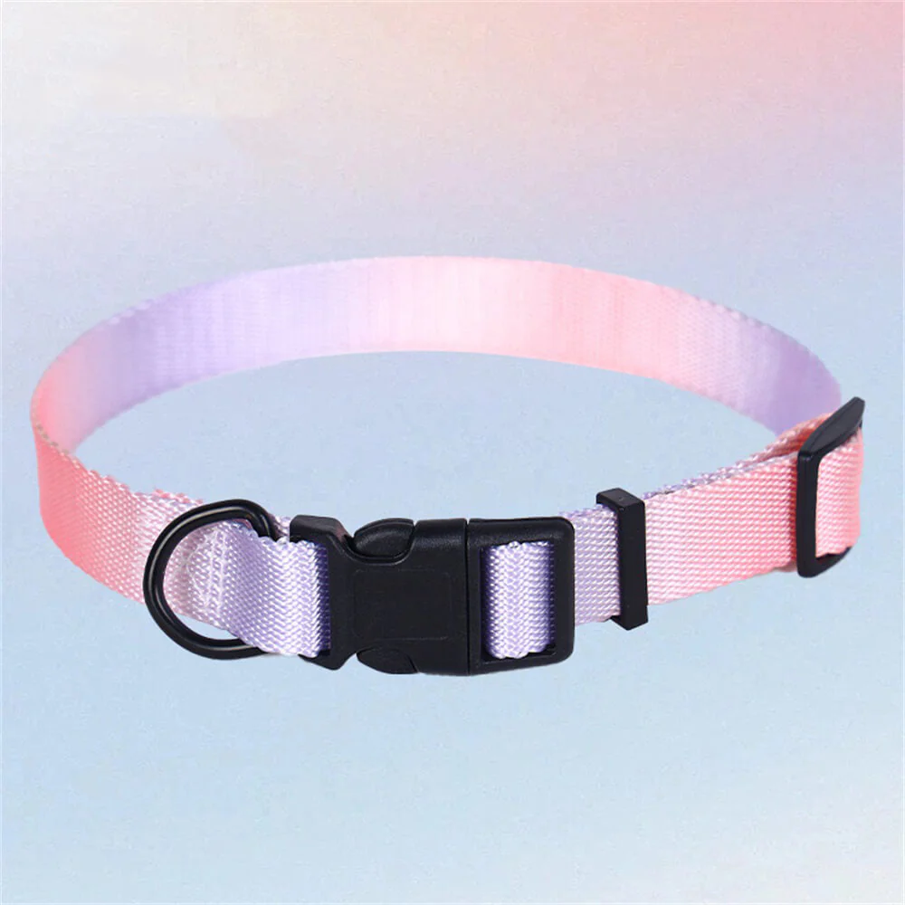 Arnés de pecho y cuerda de tracción para perros con degradado de colores: diseño antirrotura
