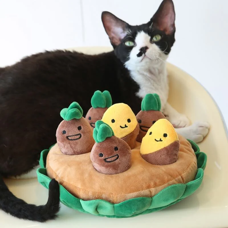 Juego de juguetes interactivos para perros con diseño de batata y olfateo